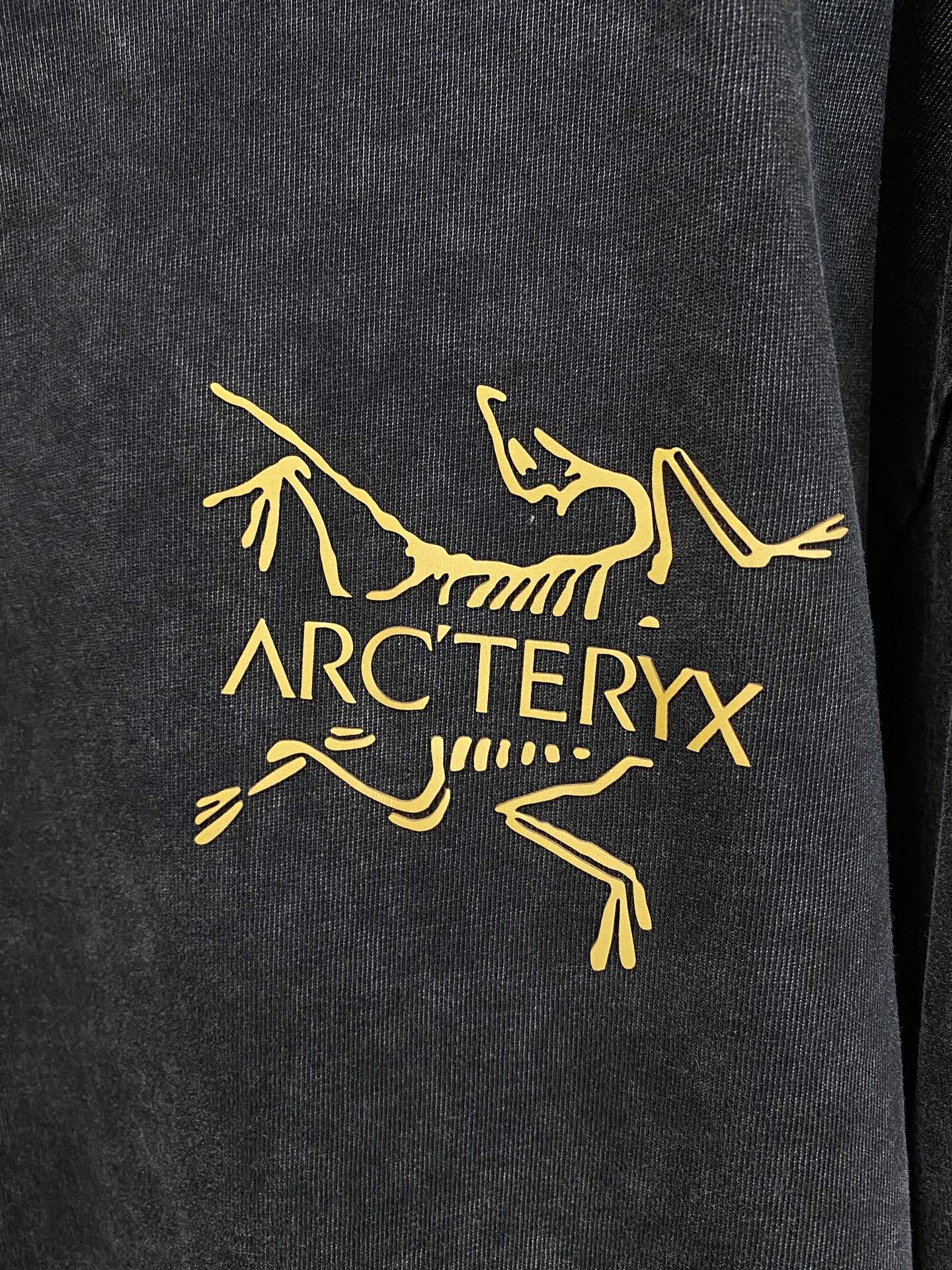 Arcteryx Couple Hoodie Cotton S-xl