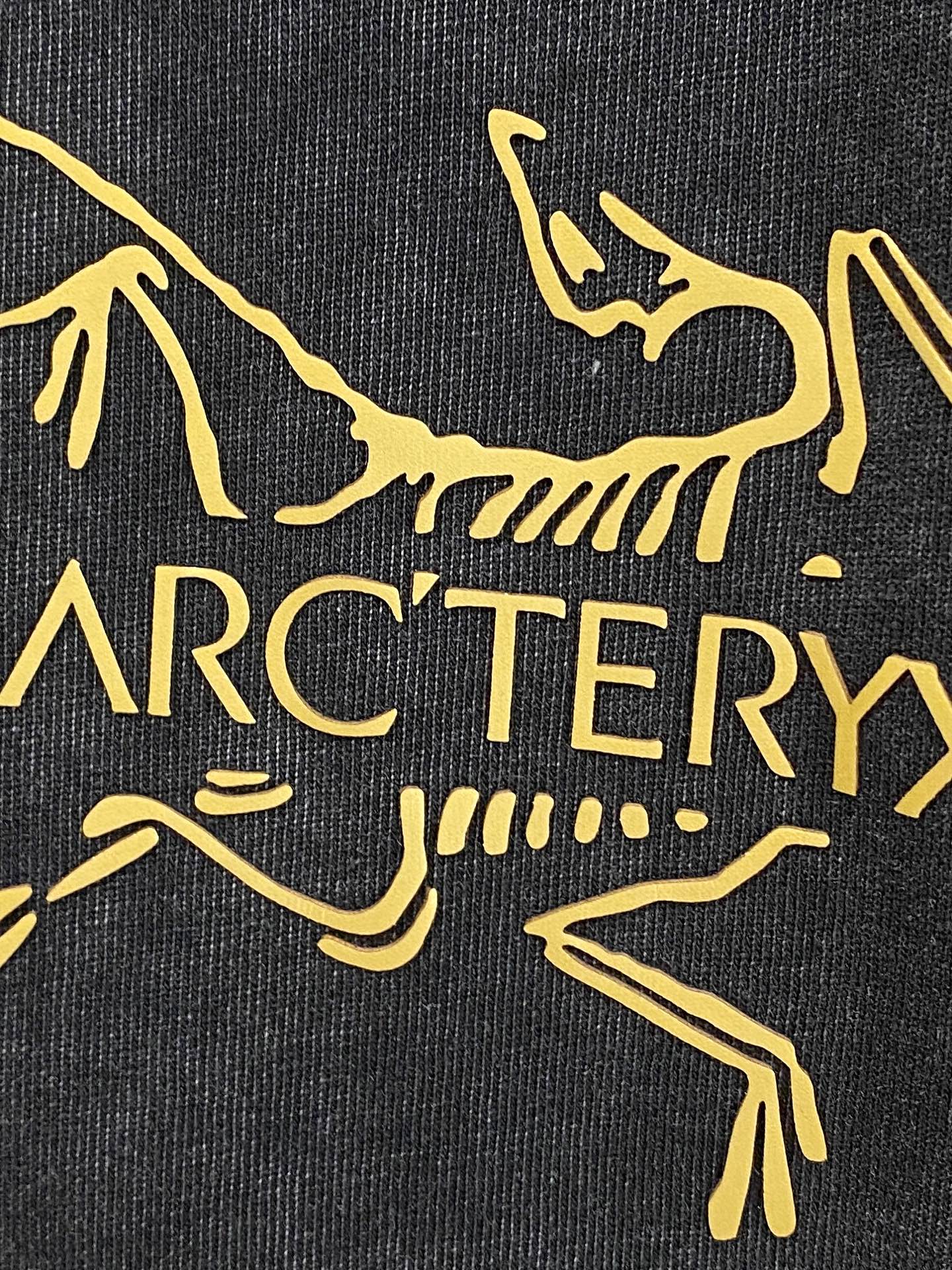 Arcteryx Couple Hoodie Cotton S-xl