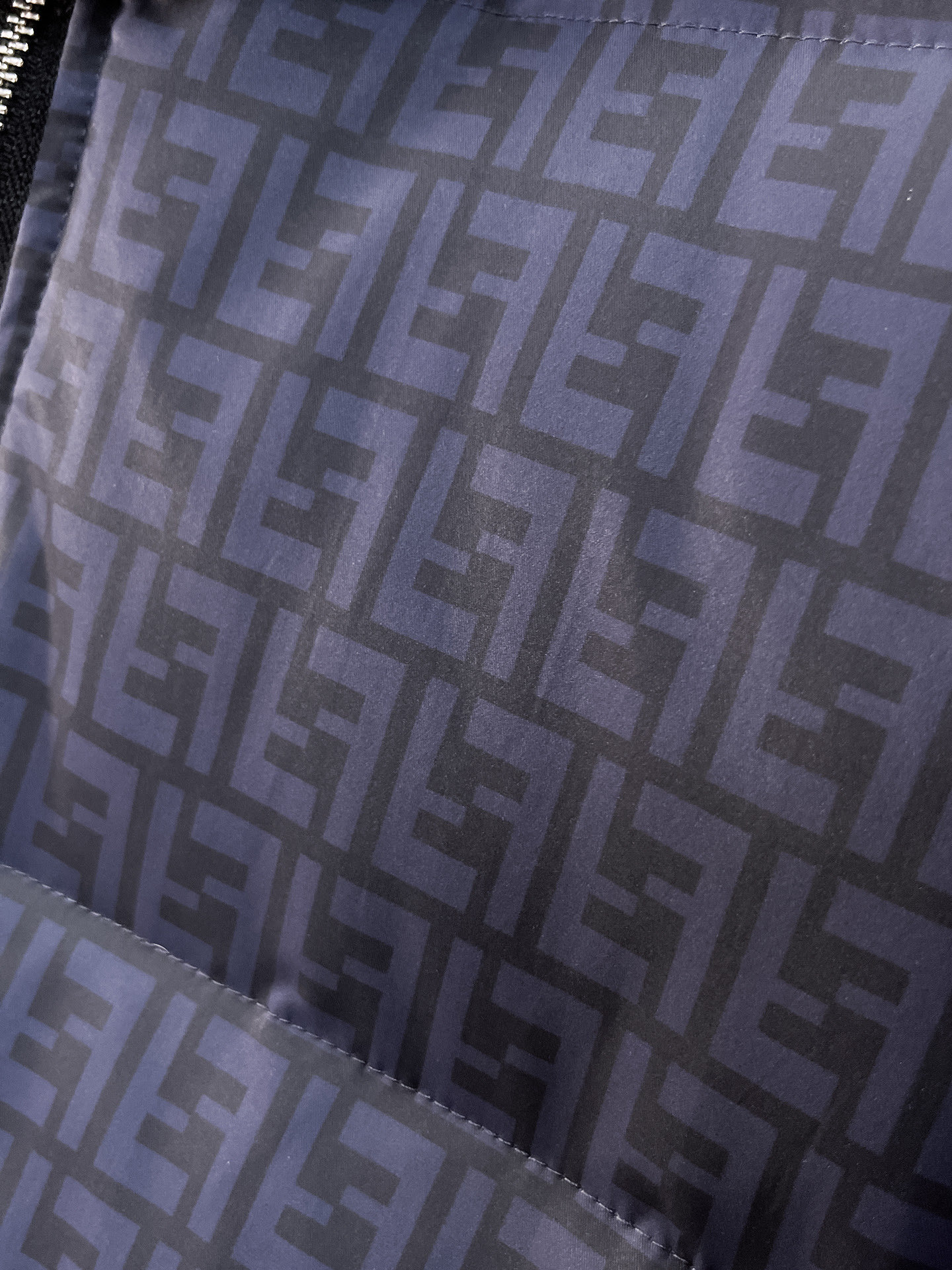 Fendi Couple Down Jacket Goose Down M-l-xl