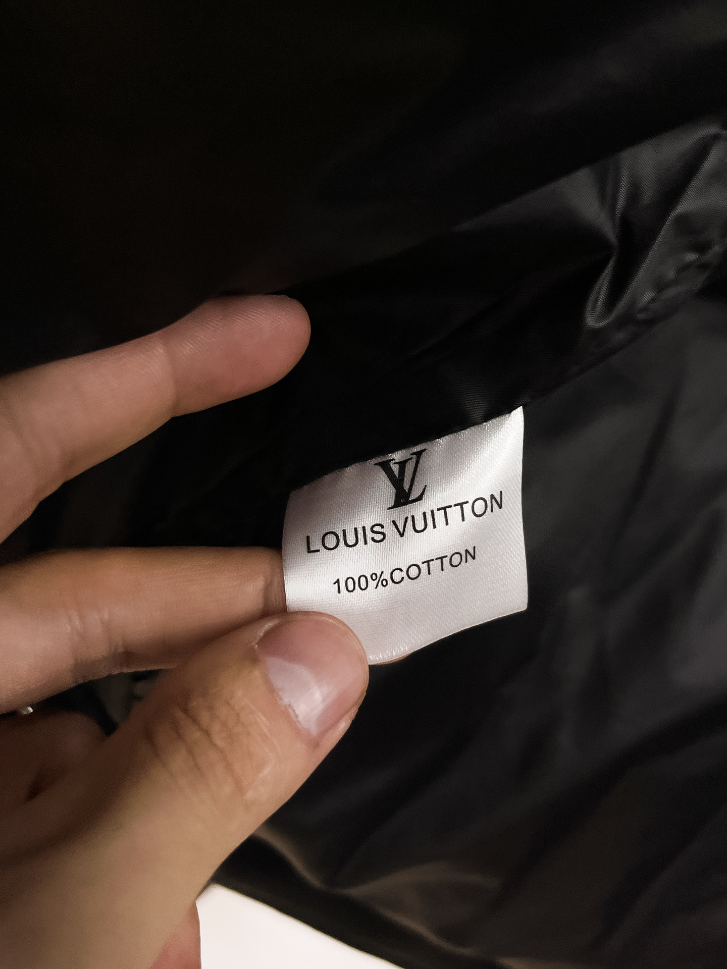 Louis Vuitton Couple Down Jacket Goose Down M-l-xl