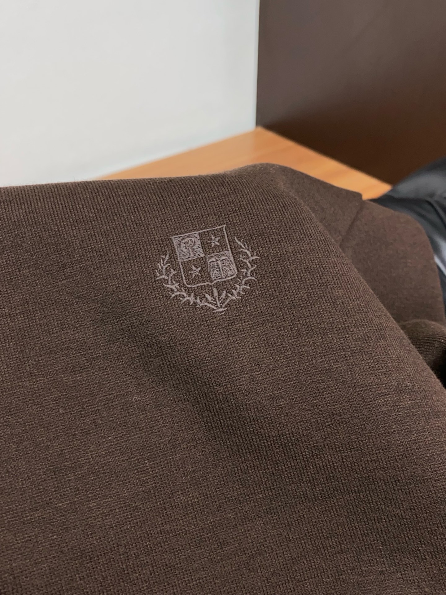 Loro Piana Hoodie Loose Fit M-l-xl