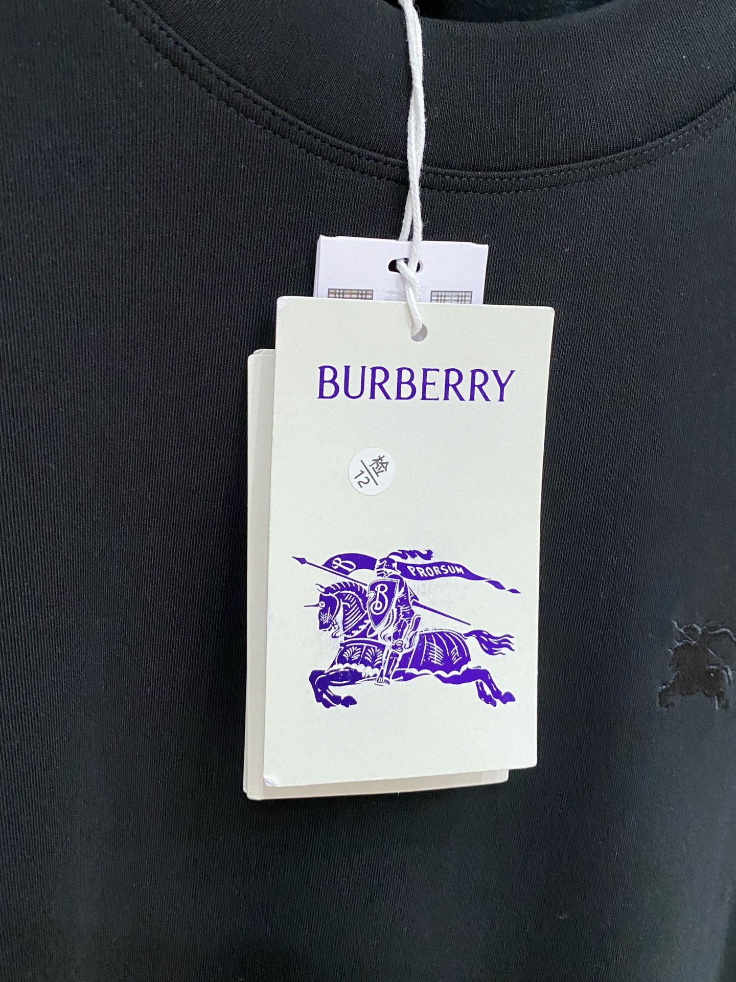 Burberry Male Hoodie Black S