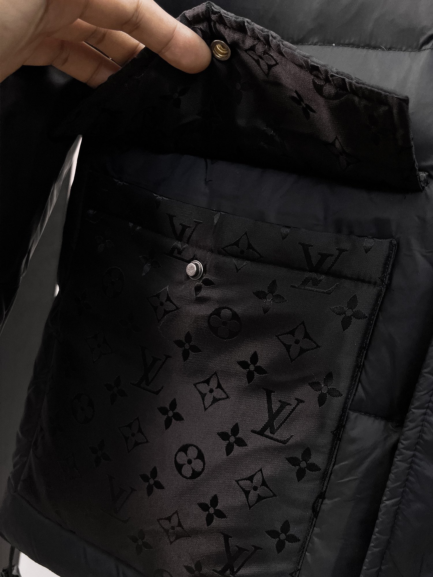 Louis Vuitton Down Jacket Goose Down M-l-xl