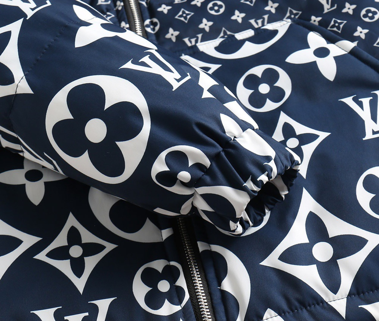 Louis Vuitton Down Jacket Goose Down M-l-xl