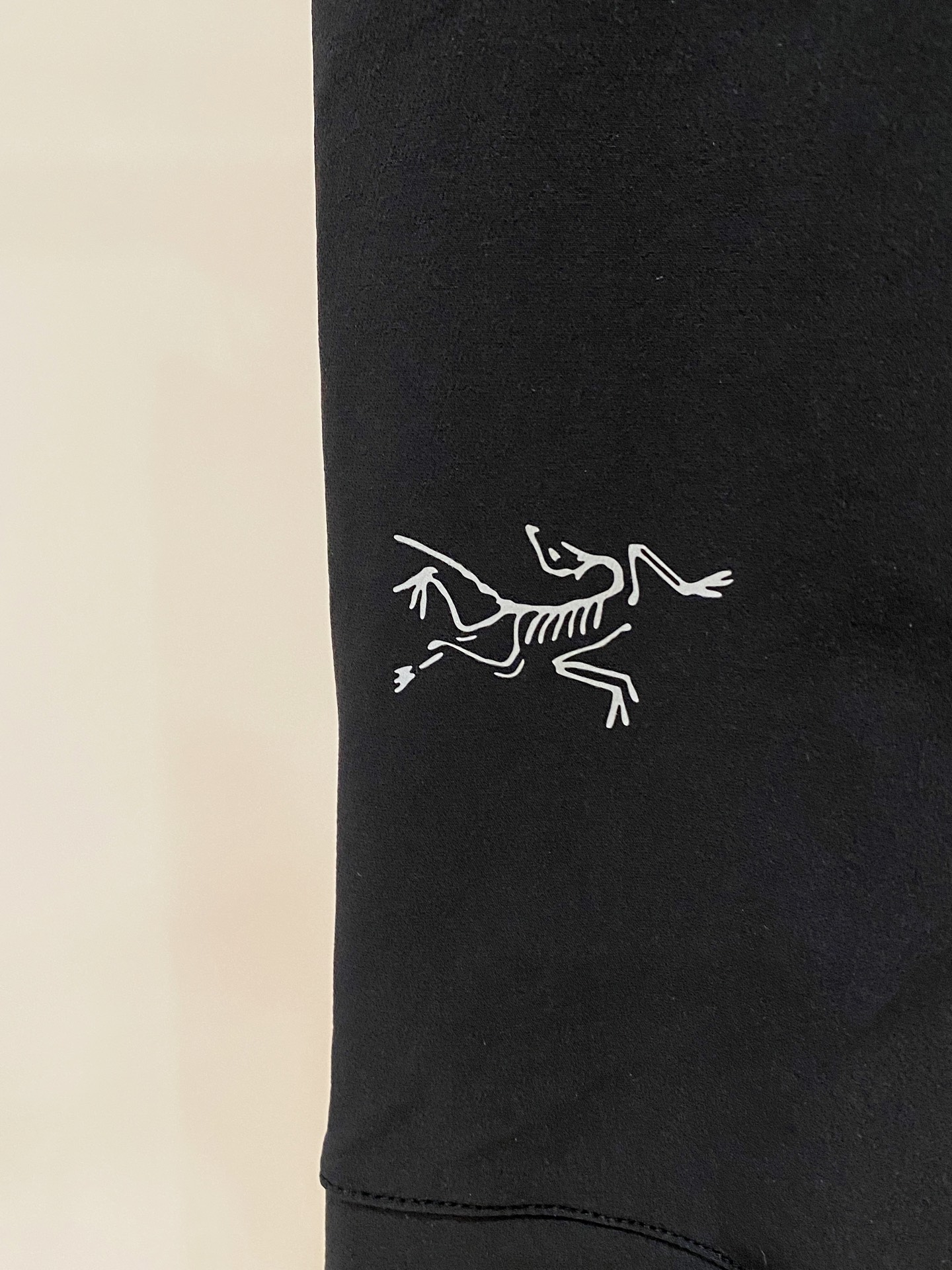 Arcteryx Male Basic Clothing L-xl