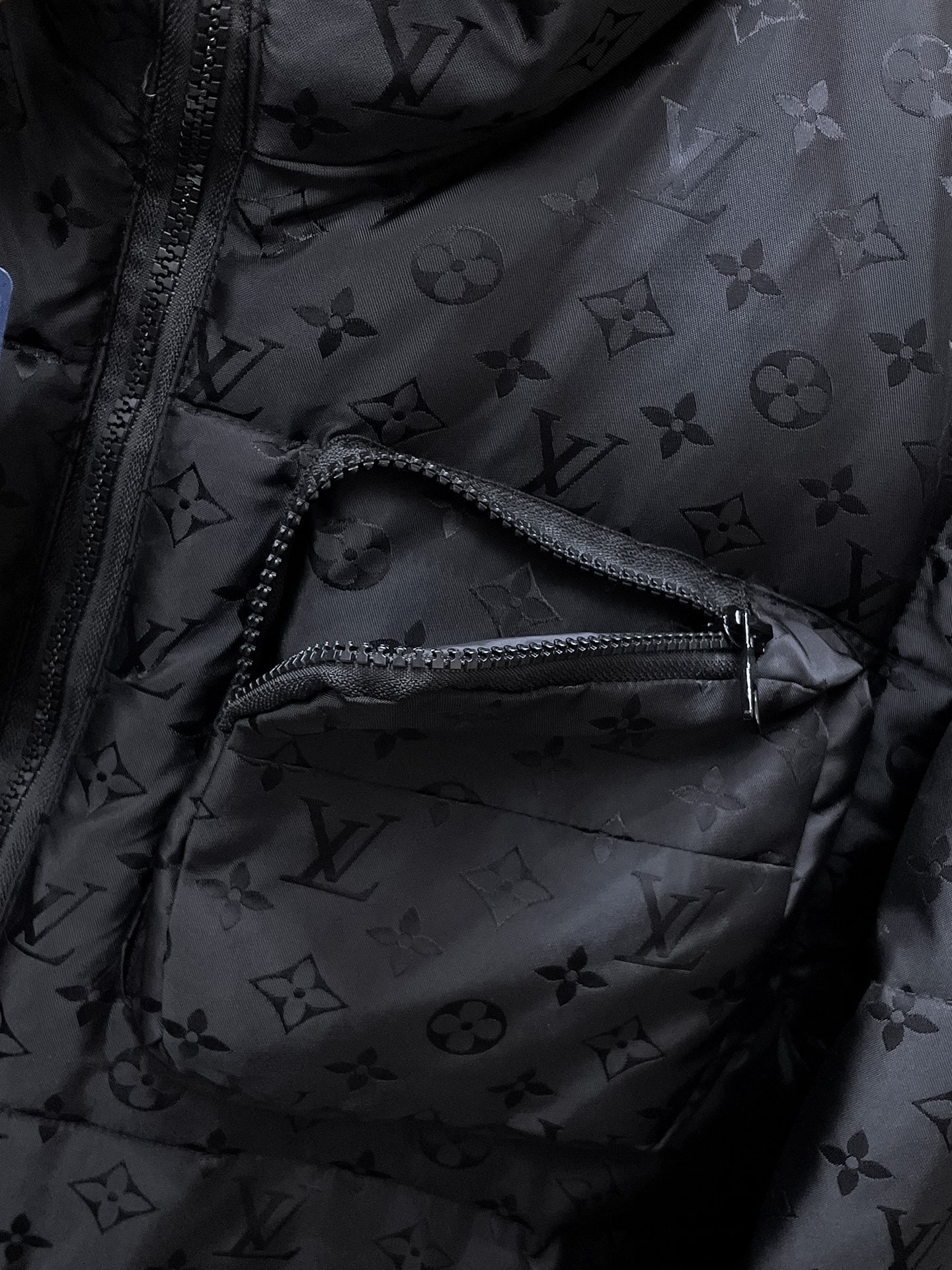 Louis Vuitton Couple Down Jacket Goose Down M-l-xl