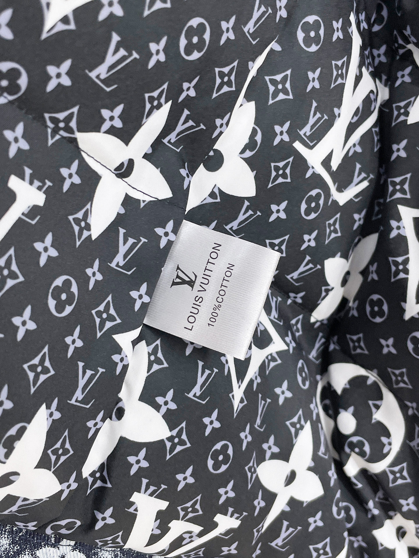 Louis Vuitton Couple Down Jacket Goose Down M-l-xl