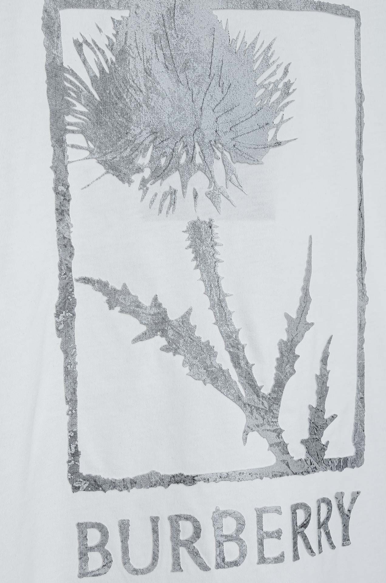 Burberry Male Basic Clothing Cotton Printed S-xl