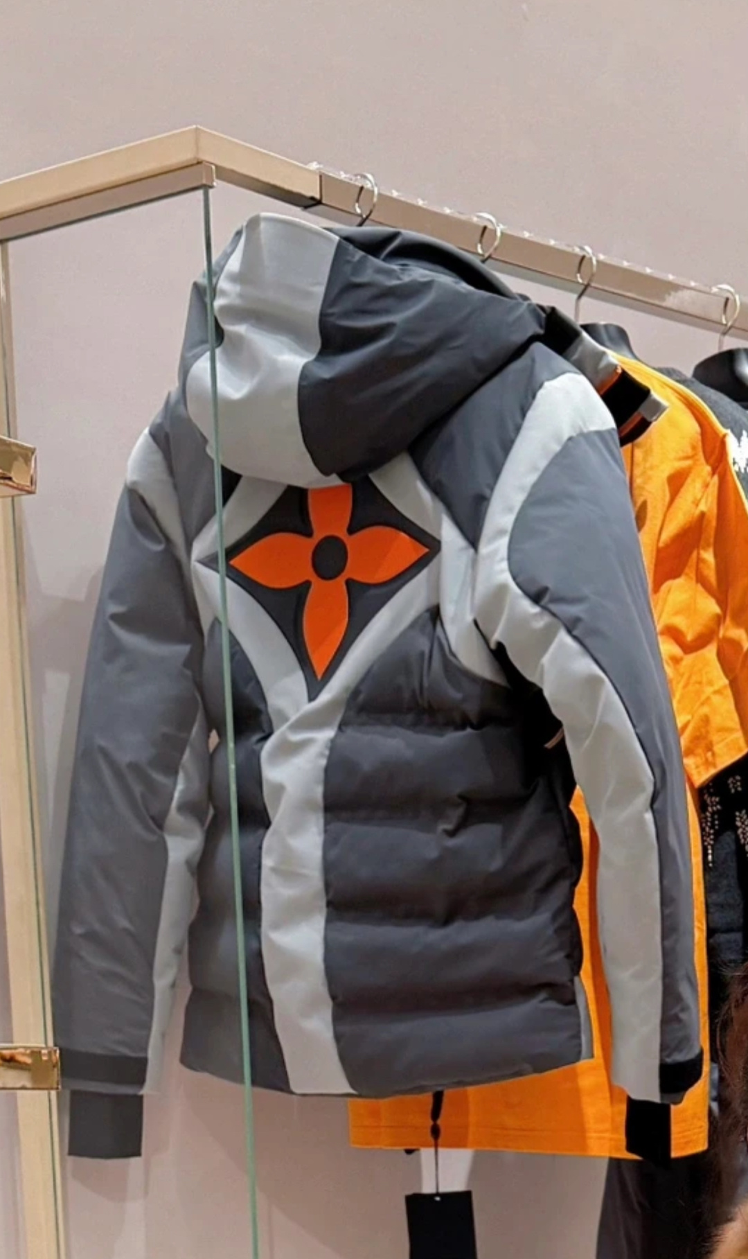 Louis Vuitton Down Jacket Gray Hooded S-l