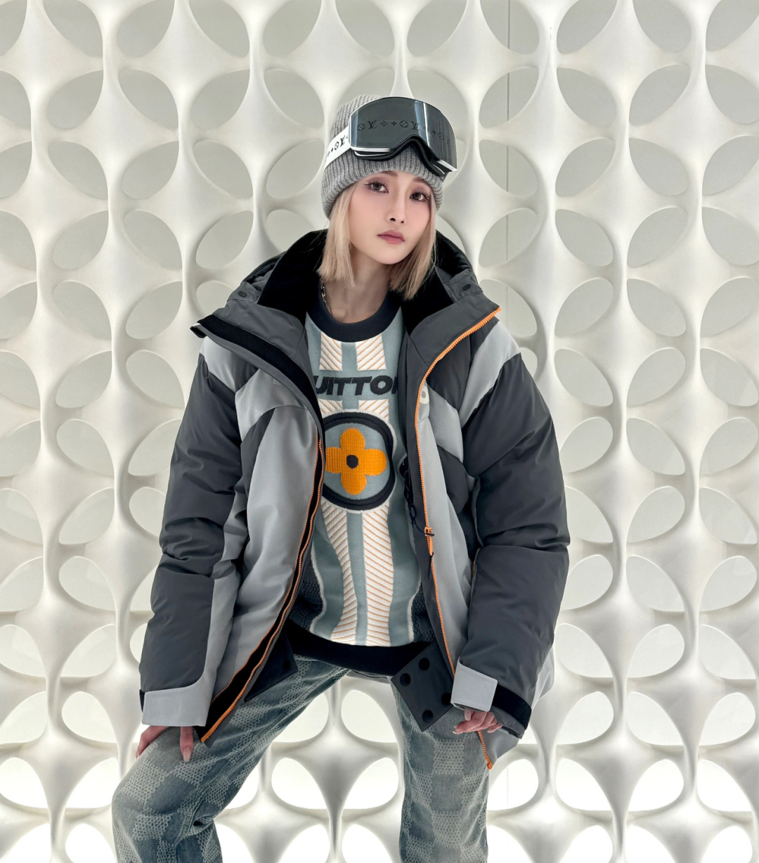 Louis Vuitton Down Jacket Gray Hooded S-l