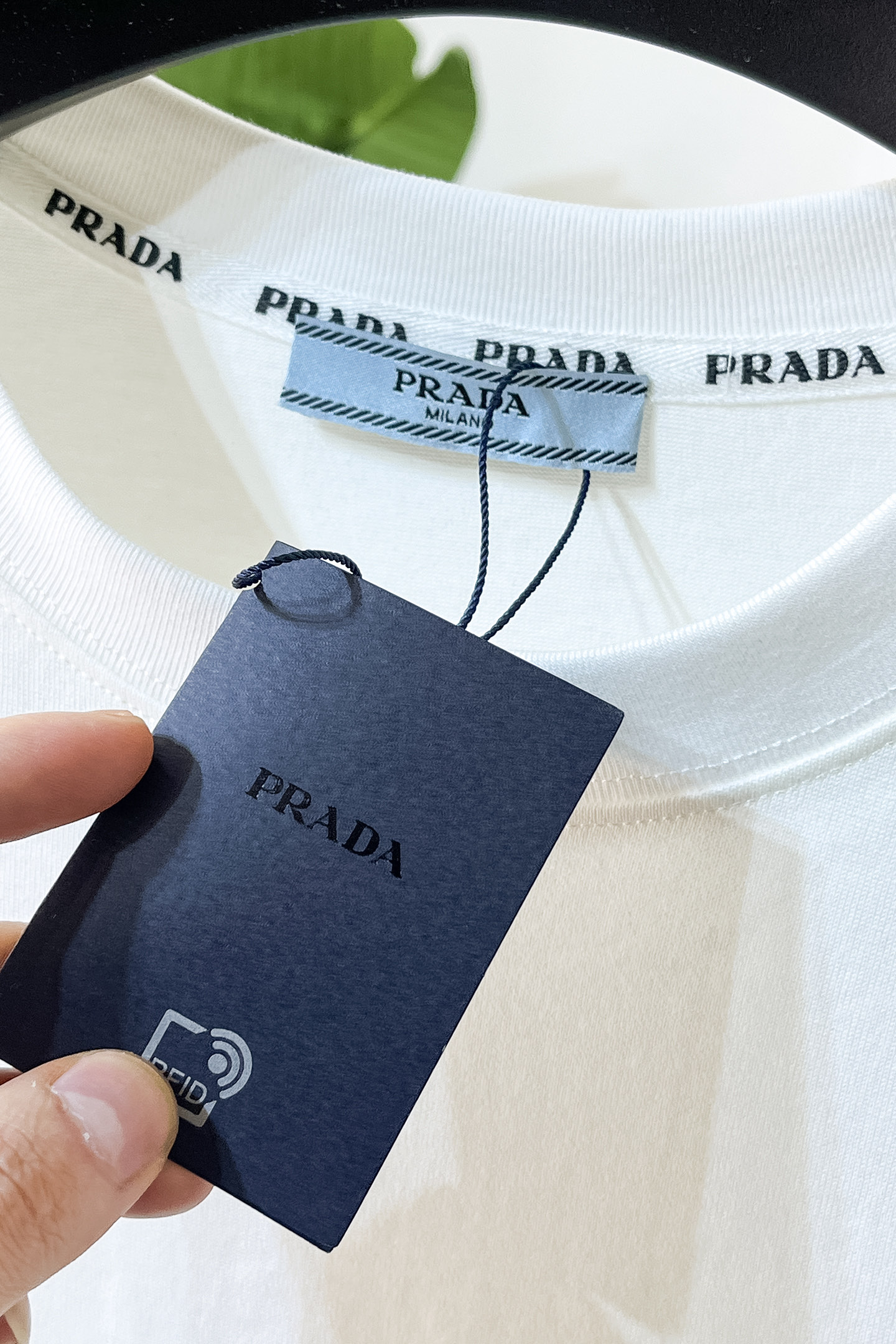 Prada Basic Clothing Cotton S-l-xxl