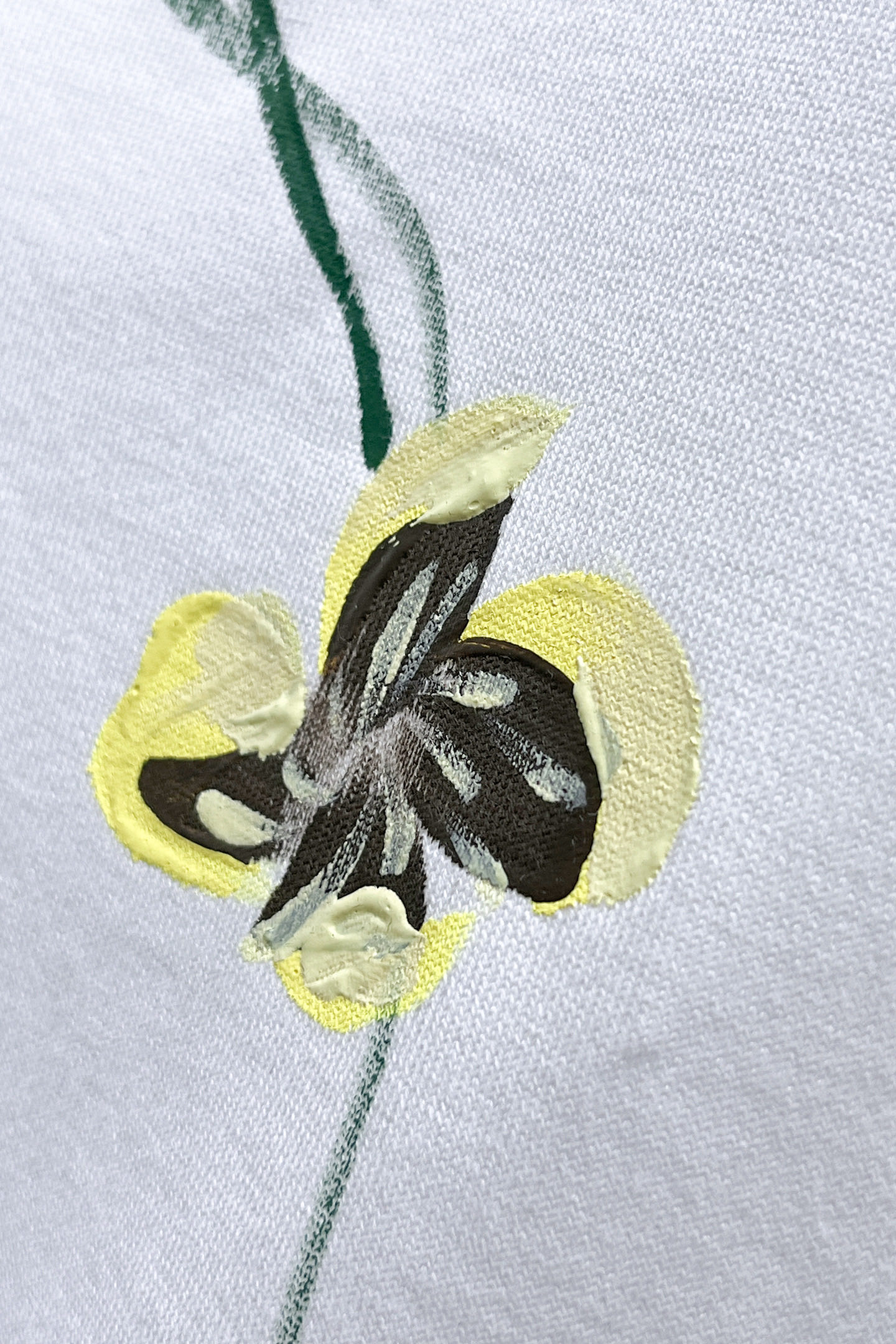 Loewe Basic Clothing Cotton S-l-xxl