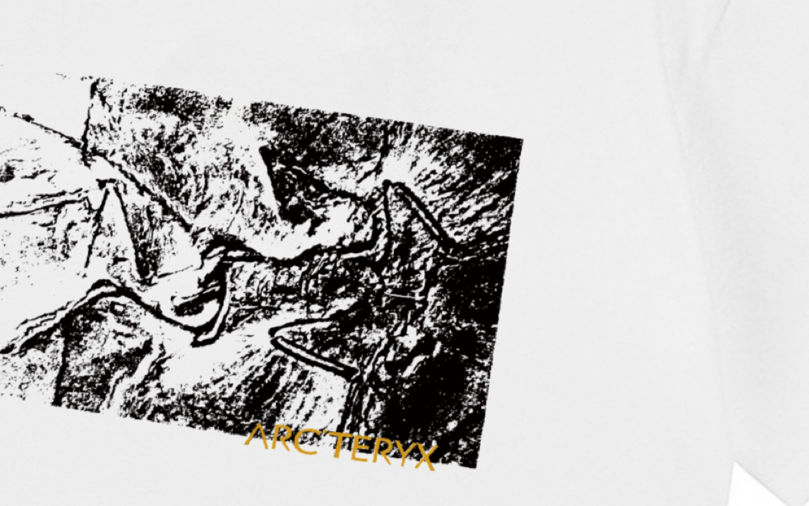 Arcteryx Basic Clothing Black Xs-s-m-l