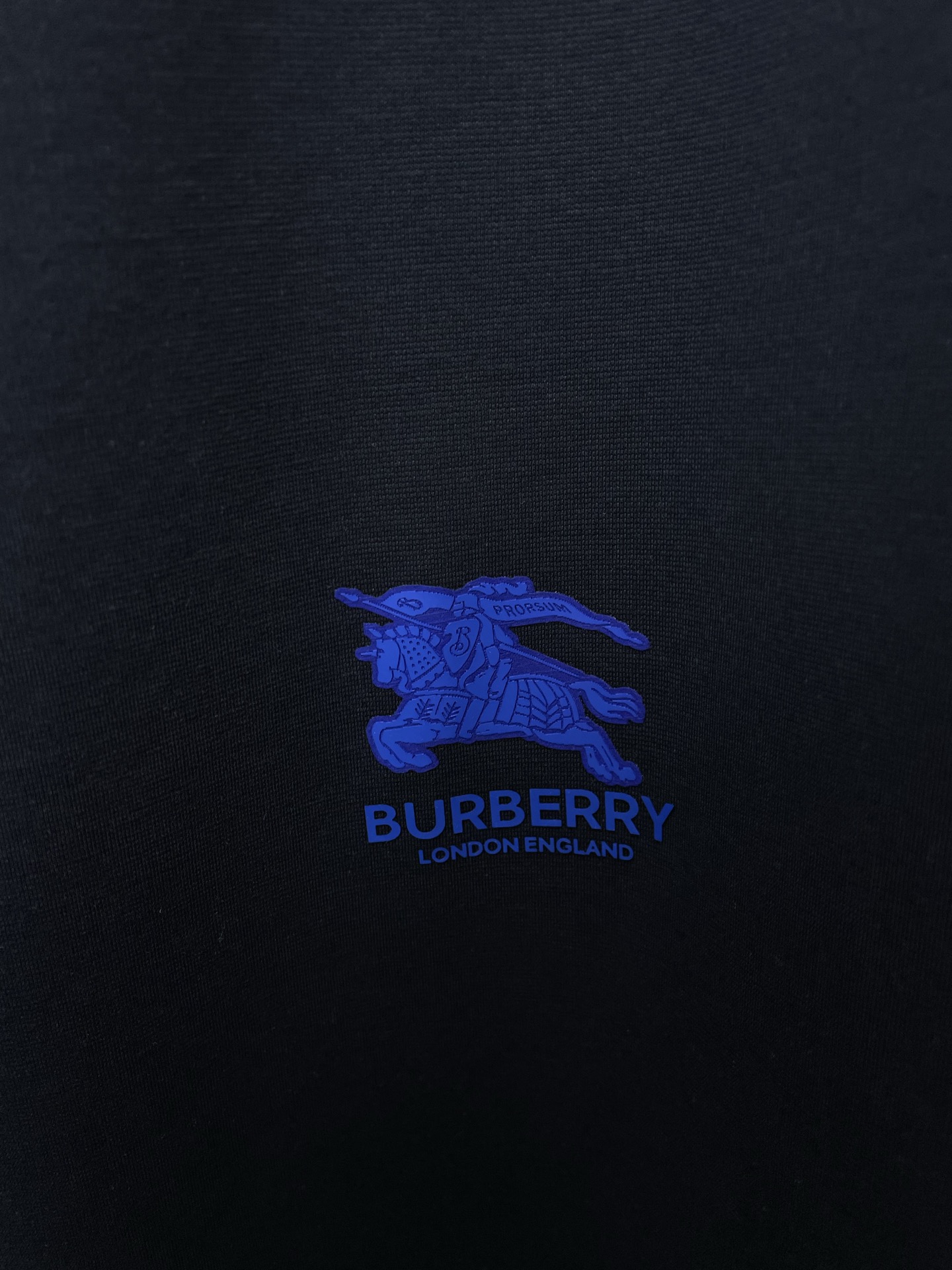 Burberry Male Basic Clothing M-xl