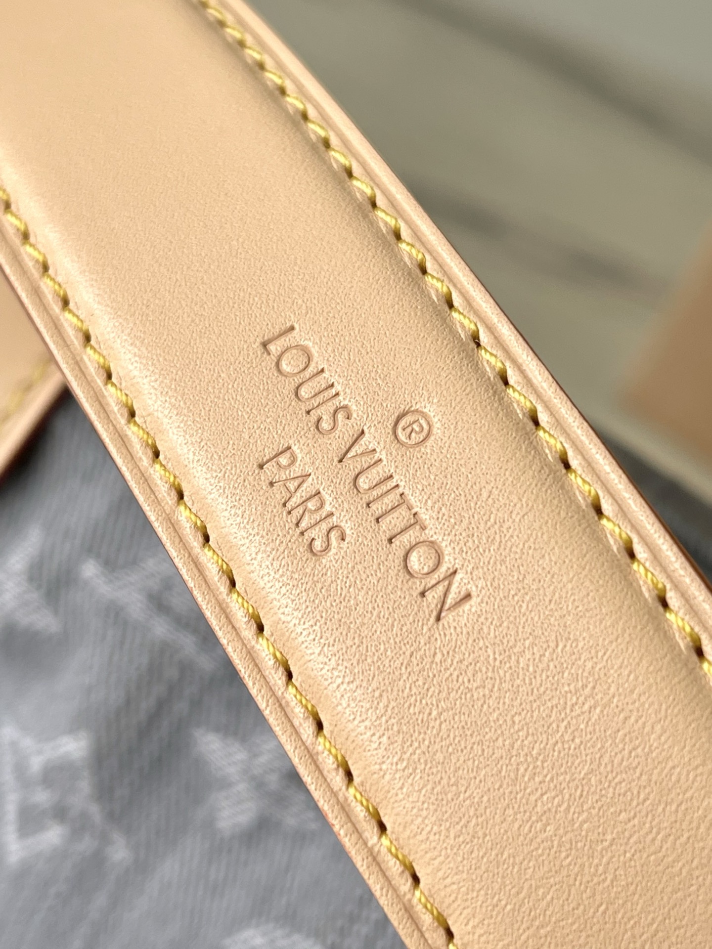 Louis Vuitton Basic Bag M-l-s