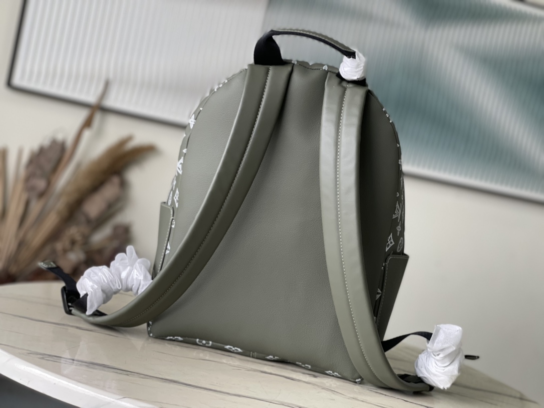 Louis Vuitton Backpack Cow Leather M-s