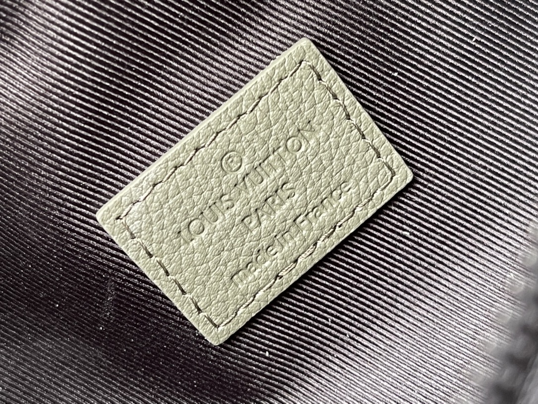 Louis Vuitton Basic Bag Cow Leather M-s