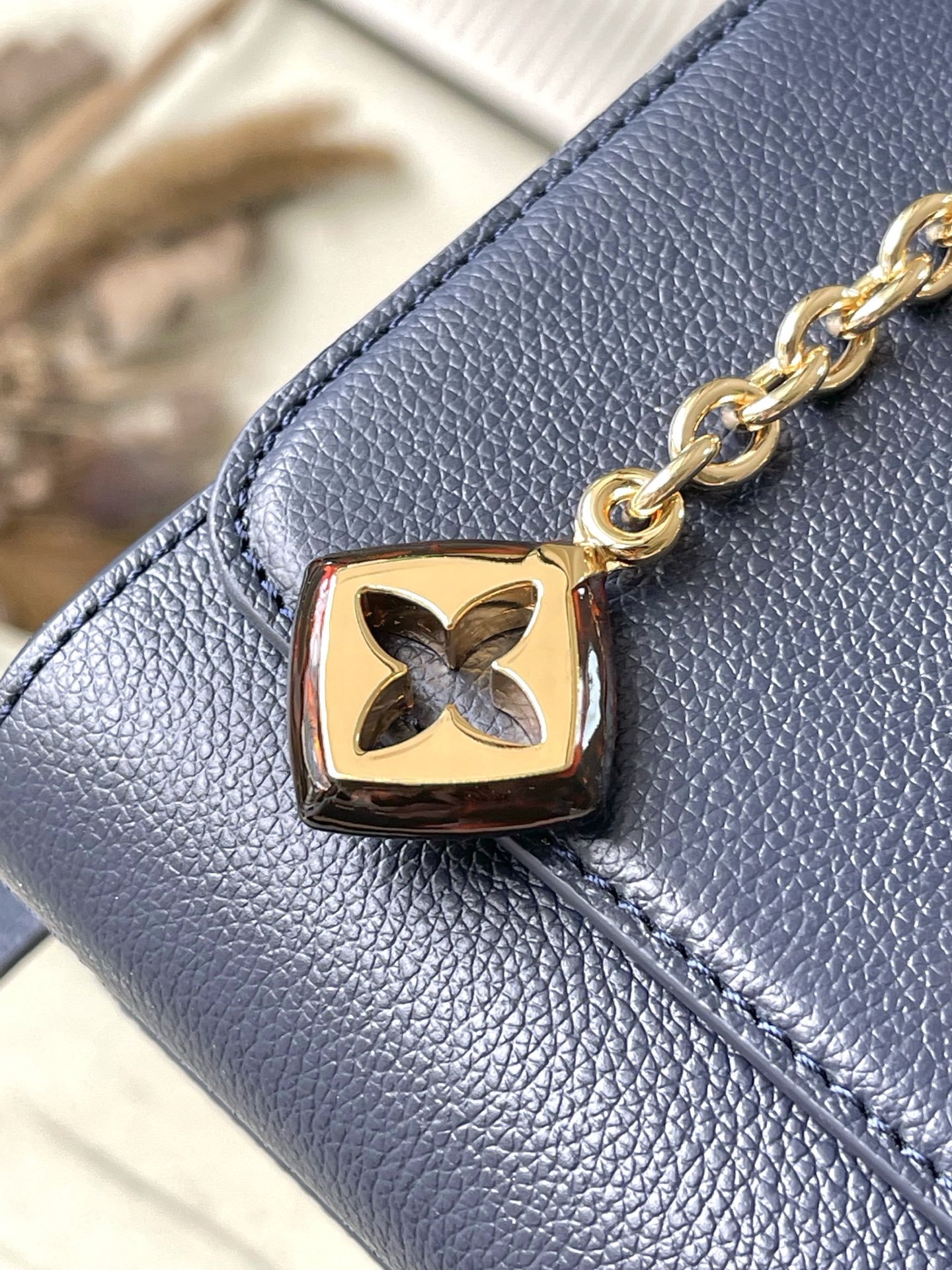 Louis Vuitton Basic Bag Cow Leather M-l-s