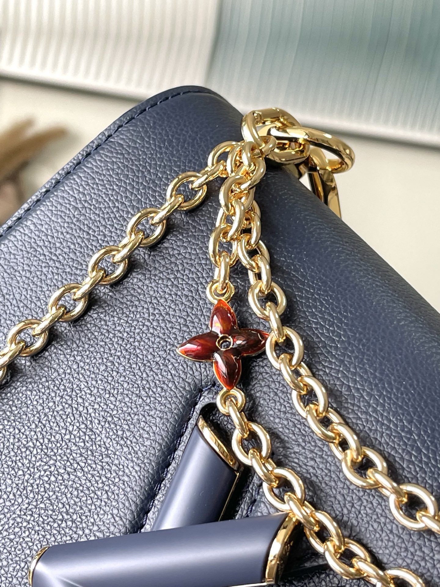 Louis Vuitton Basic Bag Cow Leather M-l-s