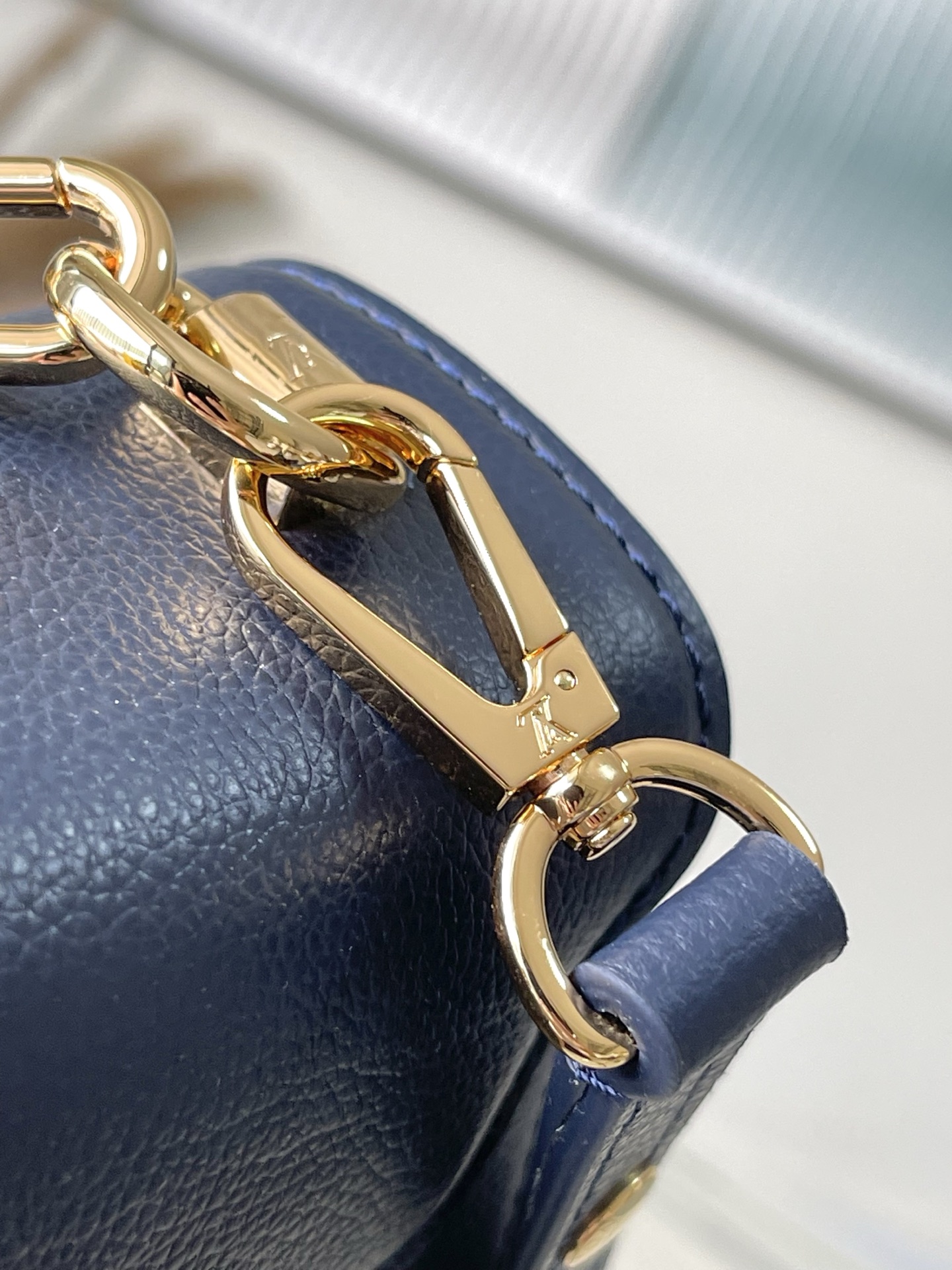 Louis Vuitton Basic Bag Cow Leather M-l-s