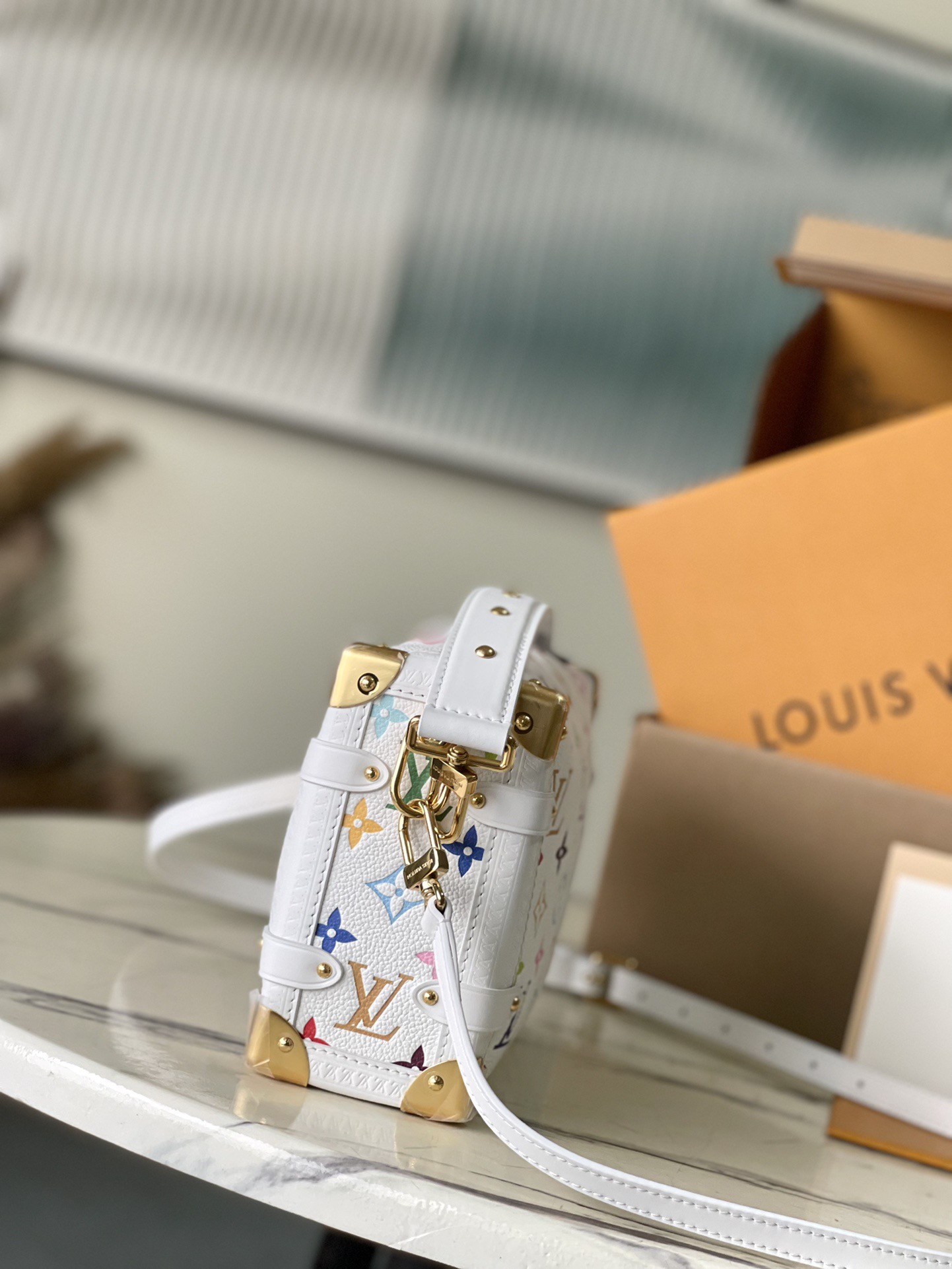 Louis Vuitton Basic Bag Cow Leather M-l-s