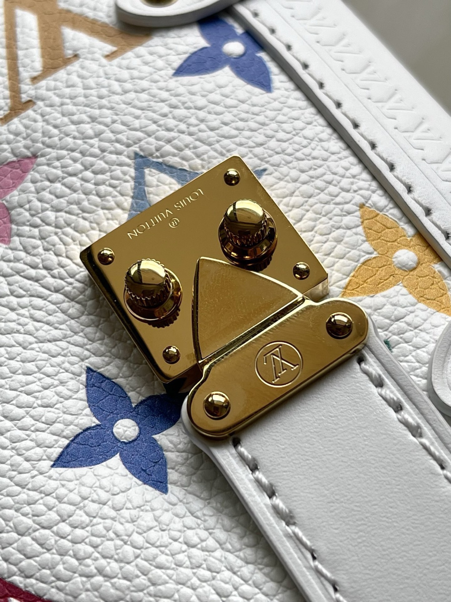 Louis Vuitton Basic Bag Cow Leather M-l-s