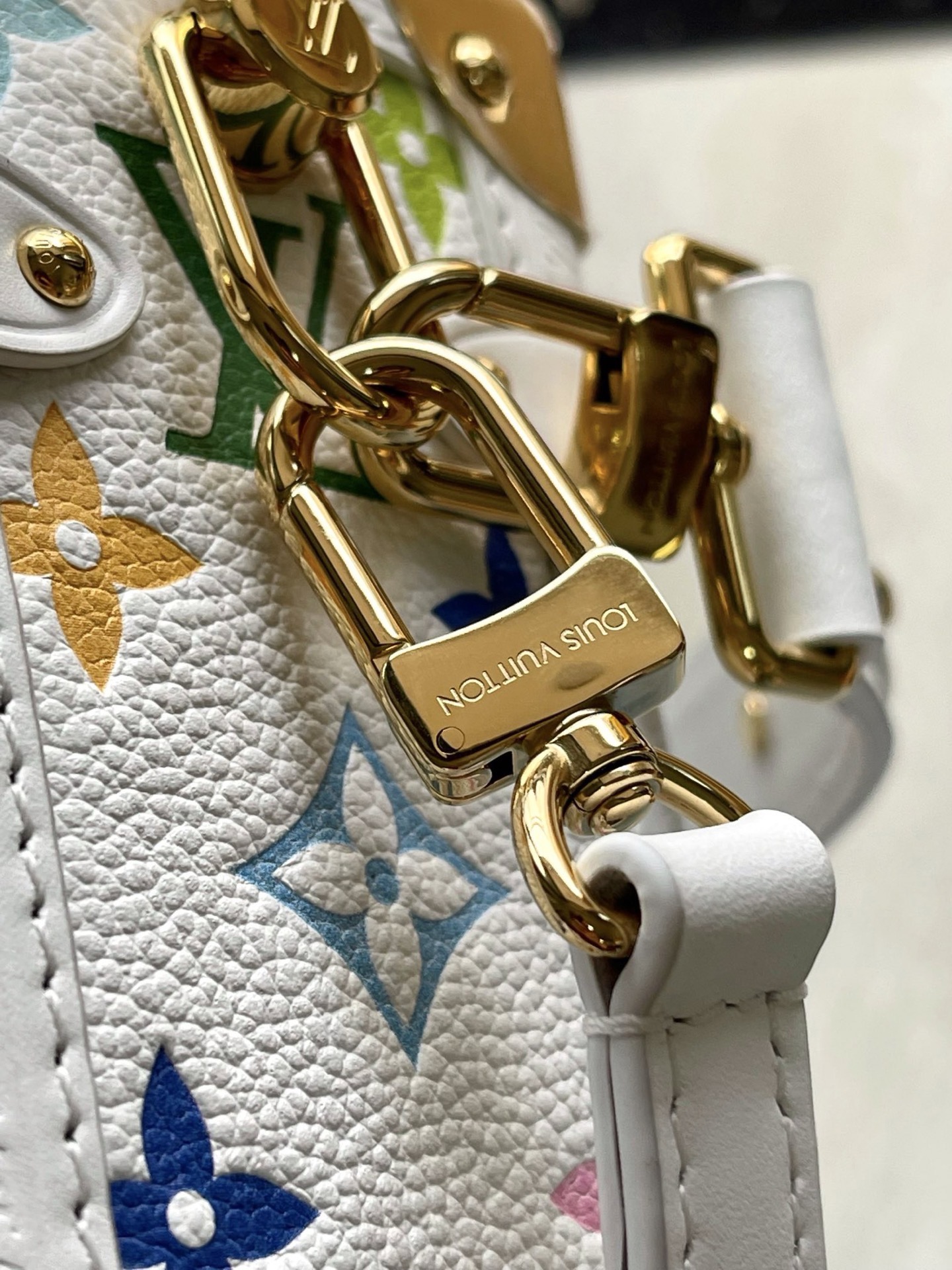 Louis Vuitton Basic Bag Cow Leather M-l-s