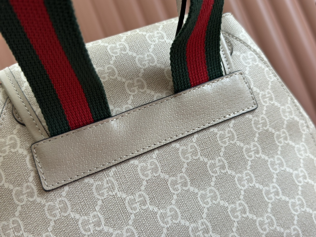 Ysl Tote Bag Canvas Brown M-s