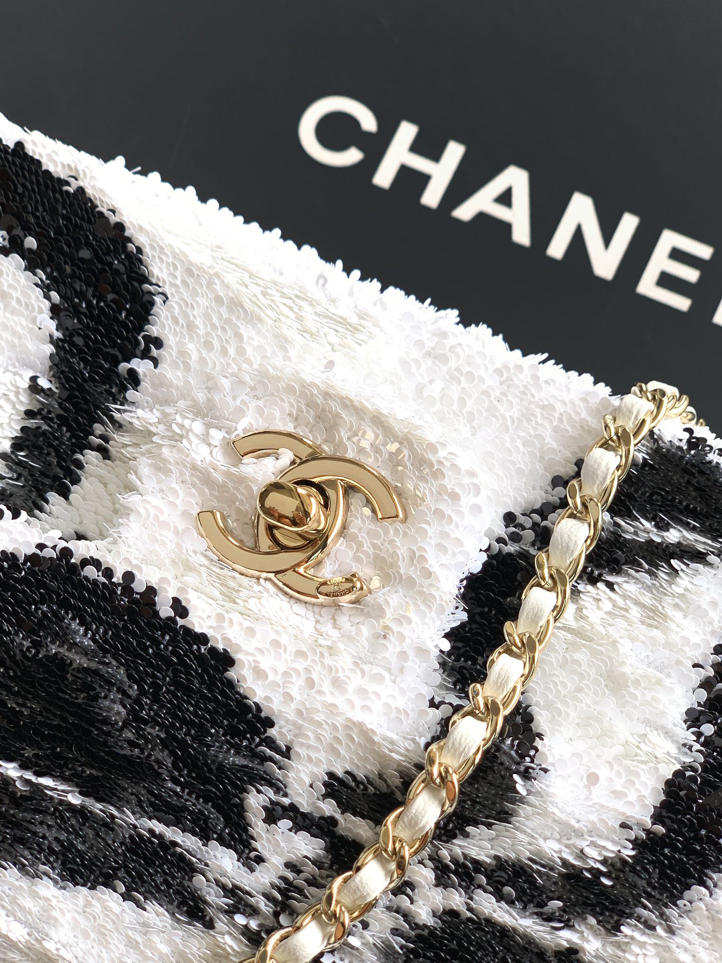 Chanel Clutch Bag 20cm-l-s