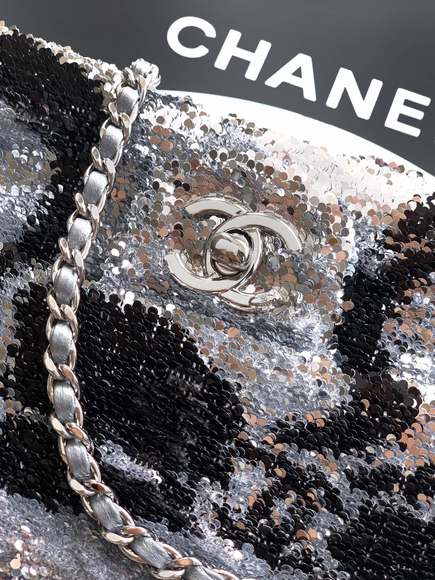 Chanel Clutch Bag 20cm-l-s