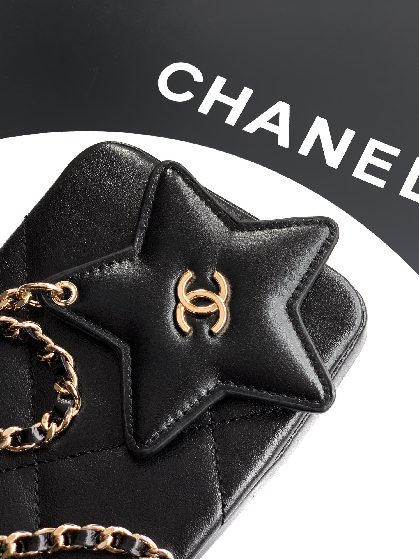 Chanel Basic Bag Cow Leather M-l