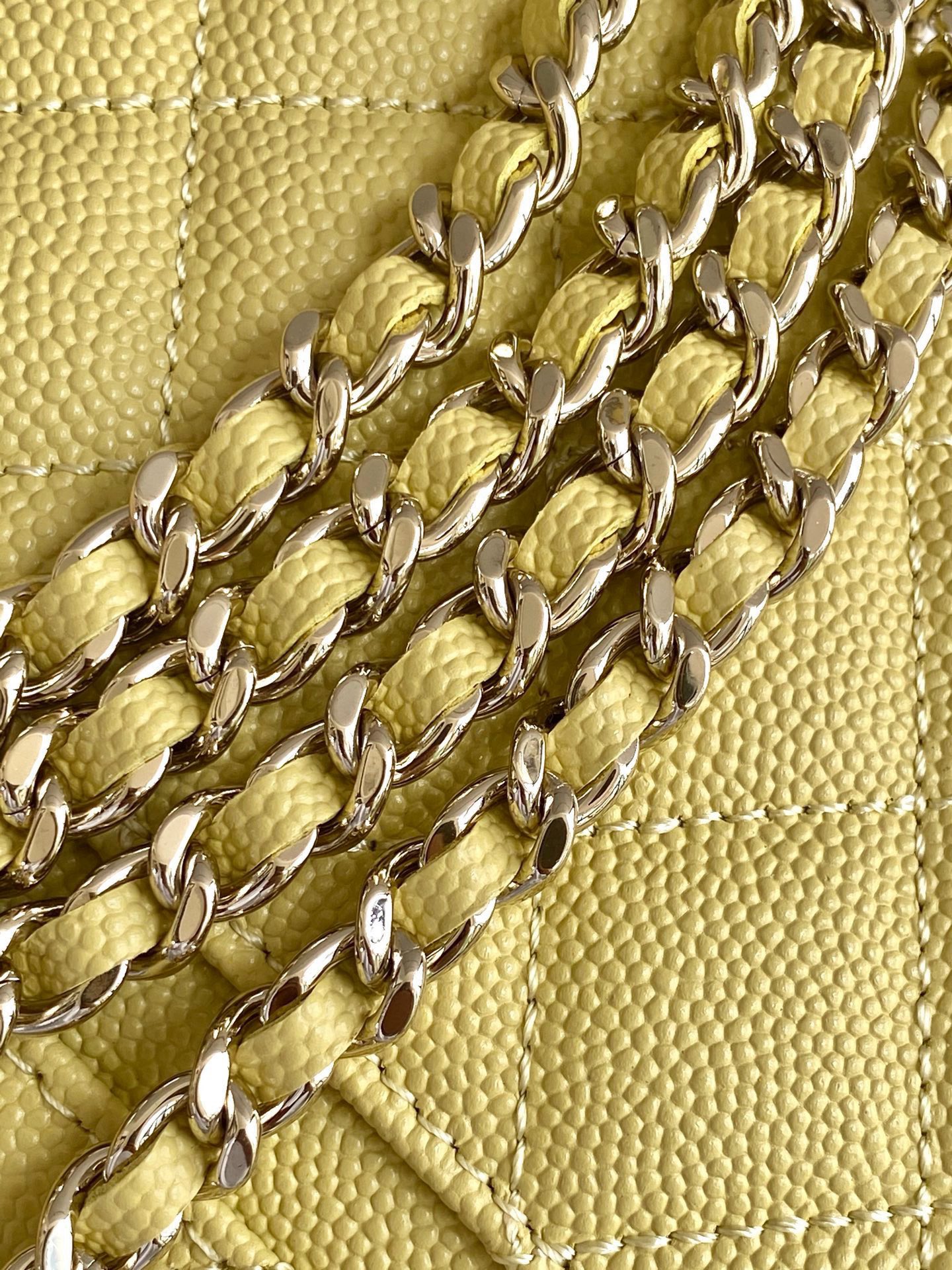 Chanel Basic Bag Cow Leather M-l-s