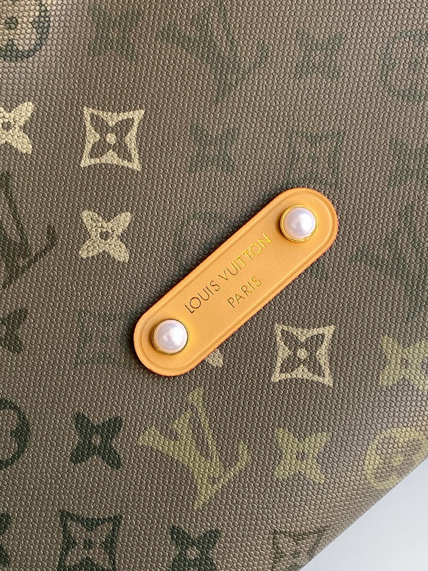 Louis Vuitton Basic Bag Canvas Green 12cm-m-l-s