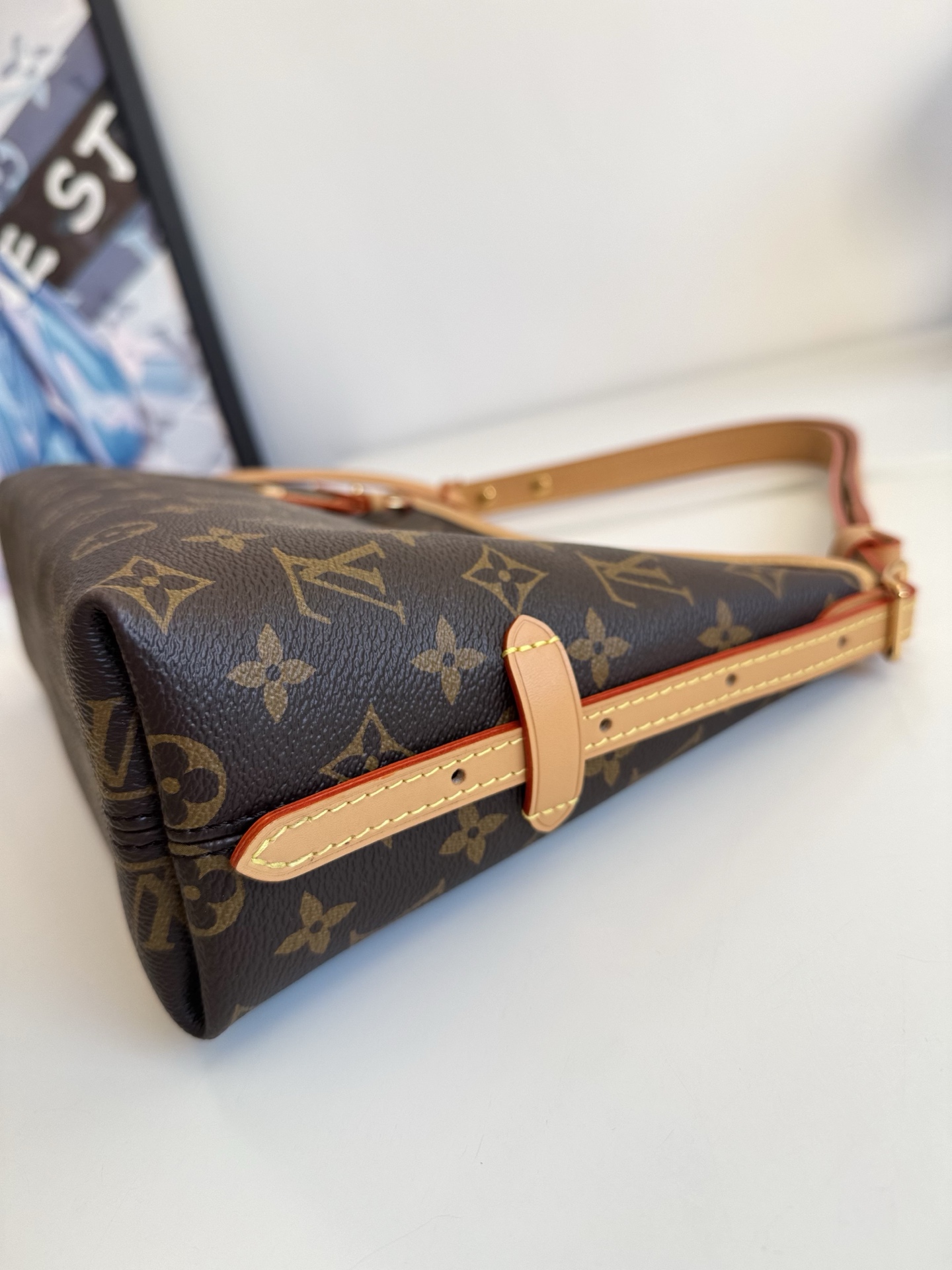 Louis Vuitton Basic Bag Canvas 10cm-m-l-s