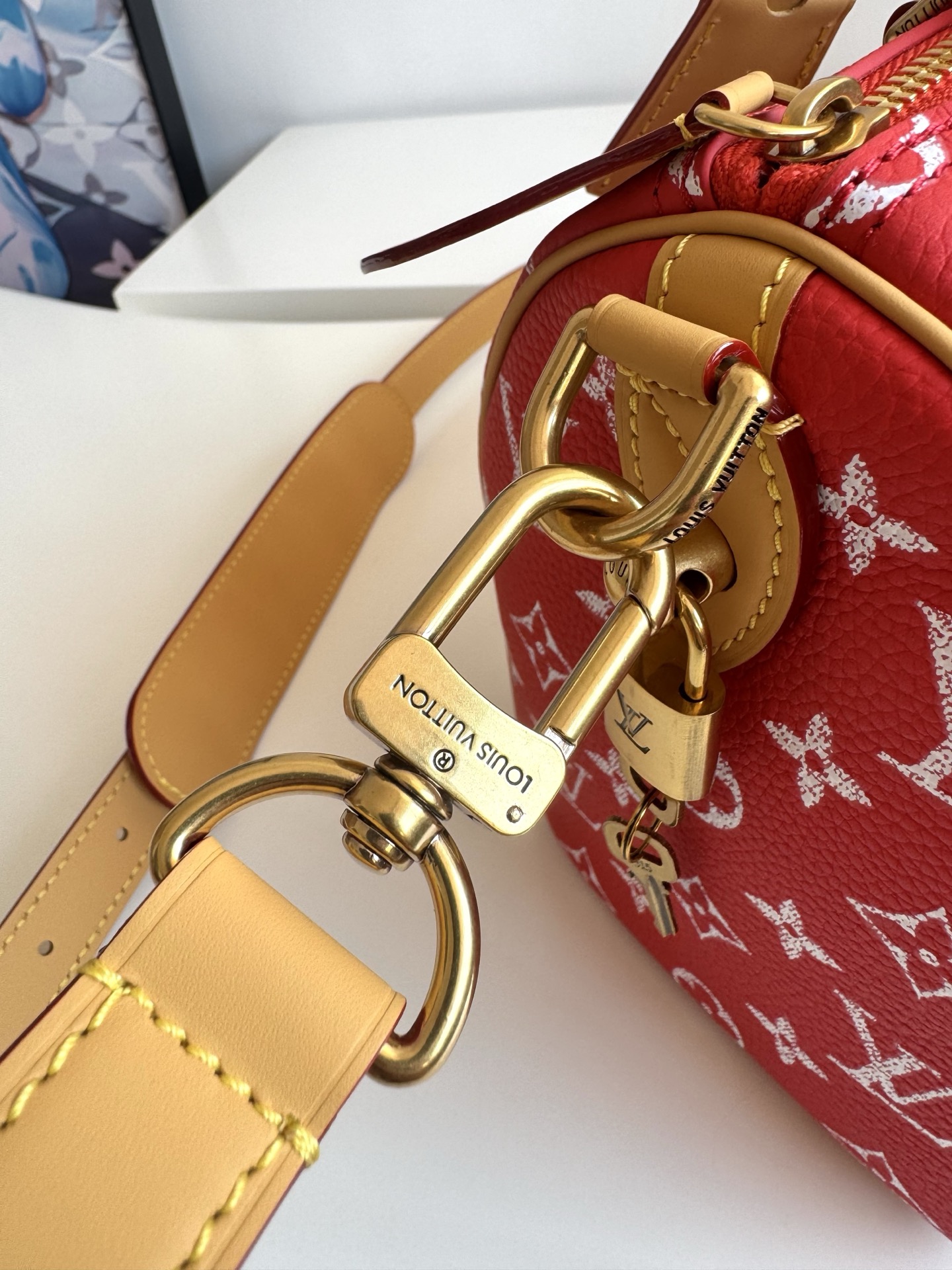 Louis Vuitton Basic Bag Cow Leather 15cm-m-l-s