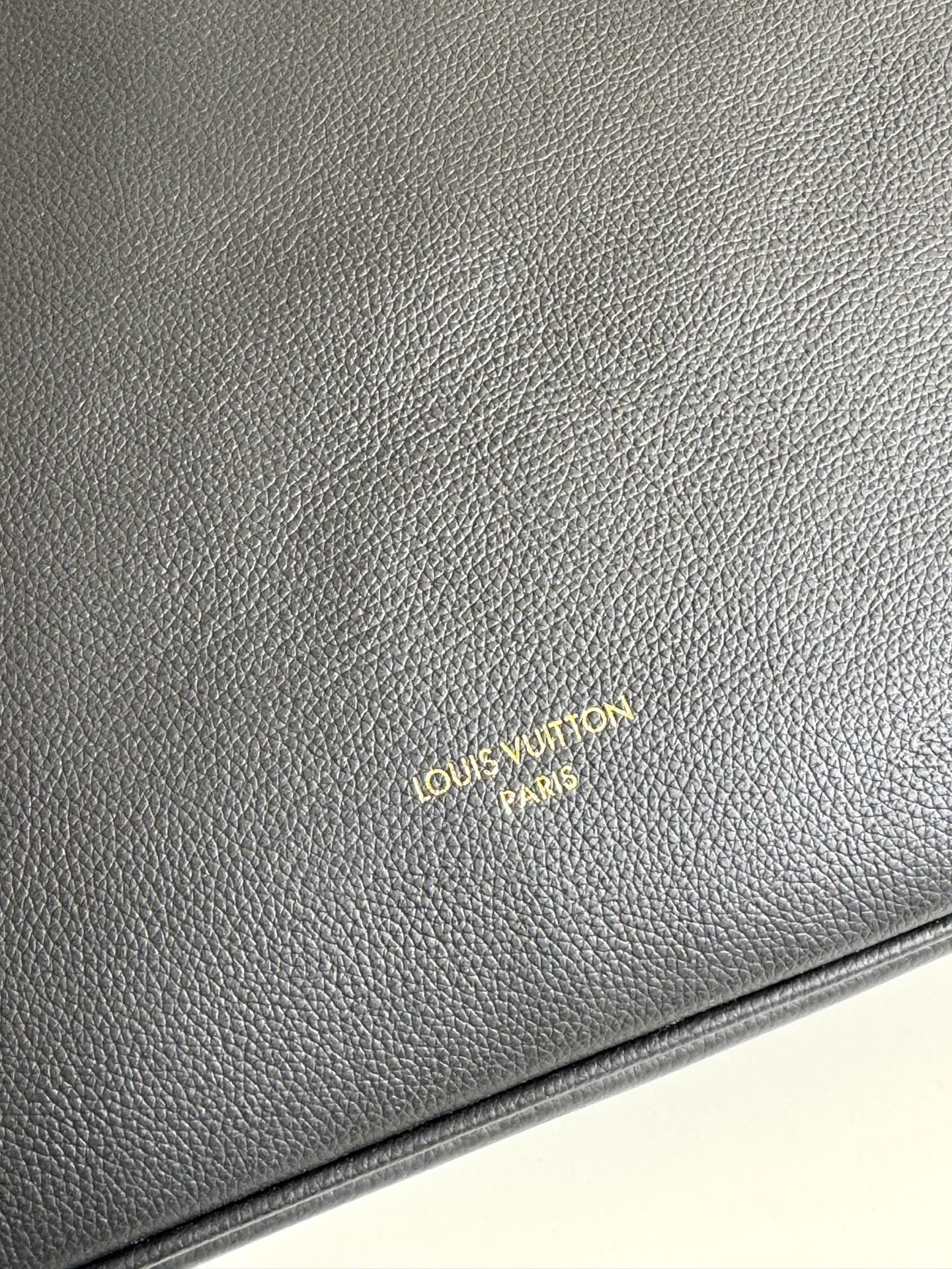 Louis Vuitton Basic Bag Cow Leather Gold M-l