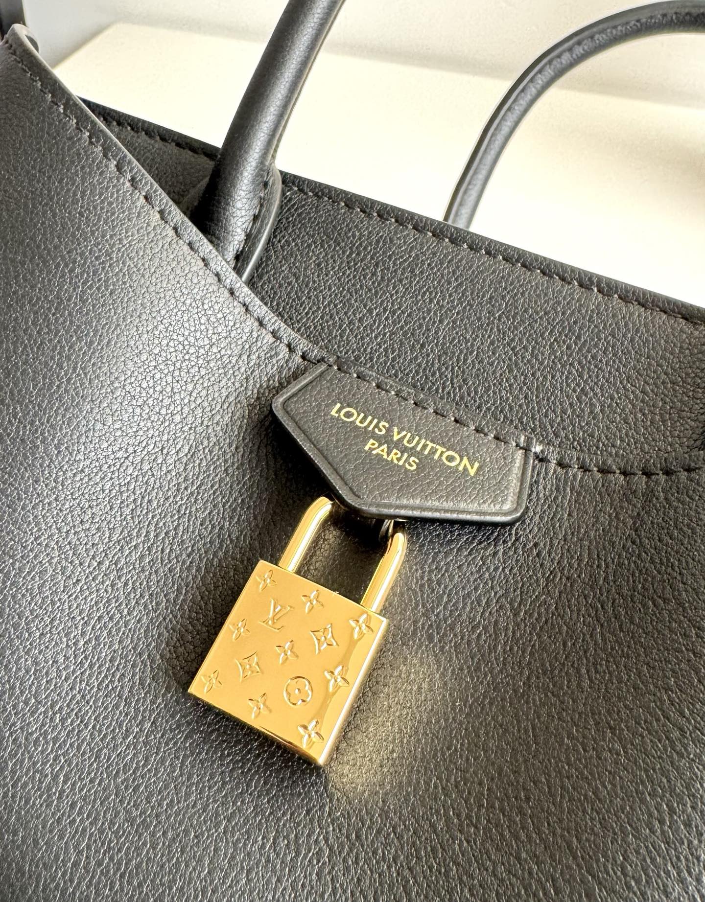 Louis Vuitton Basic Bag Cow Leather M