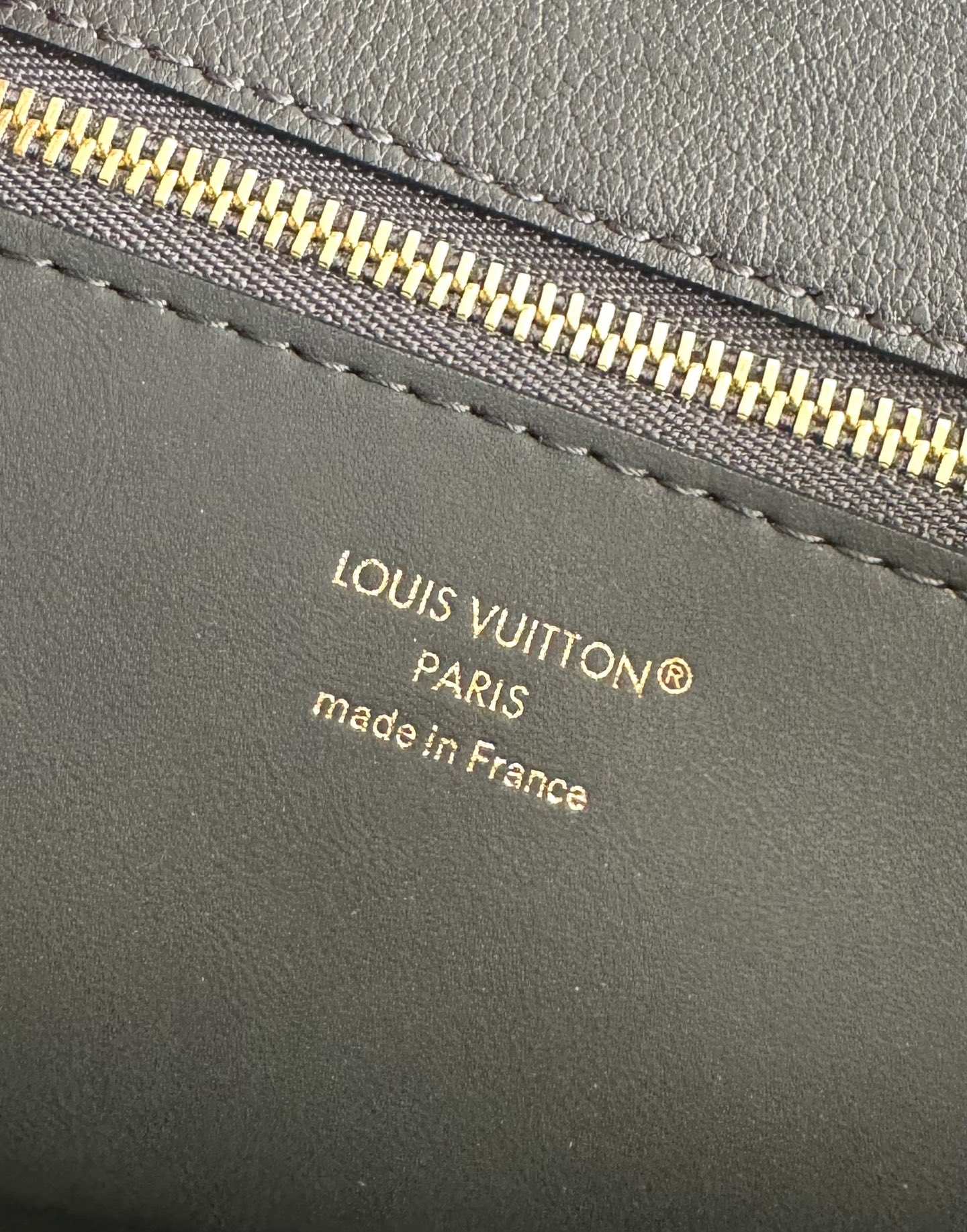Louis Vuitton Basic Bag Cow Leather M