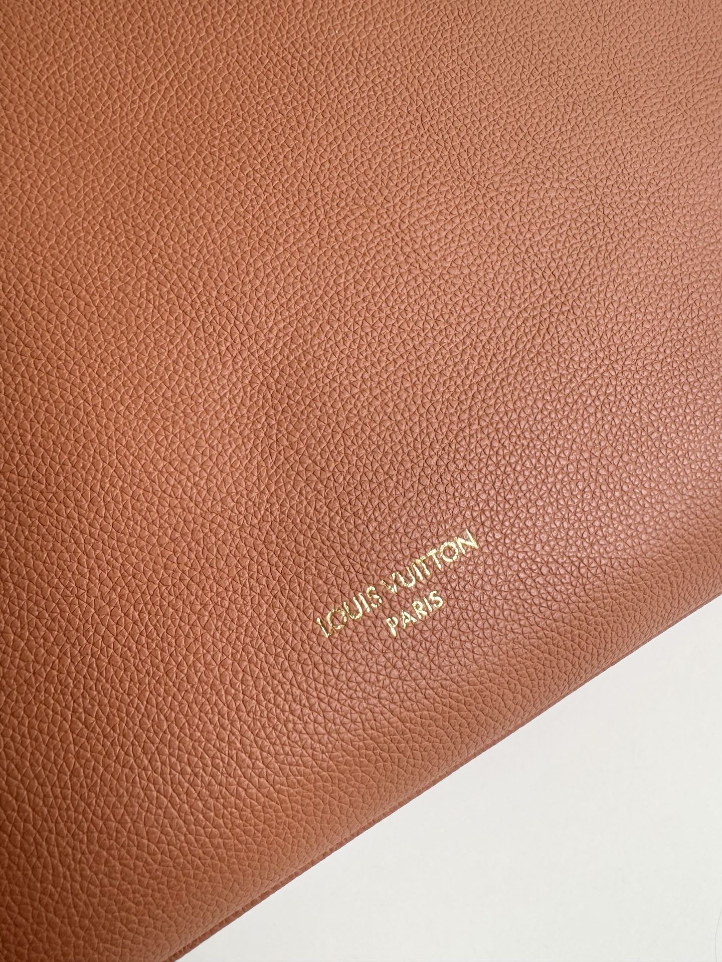 Louis Vuitton Basic Bag Cow Leather Gold M-l