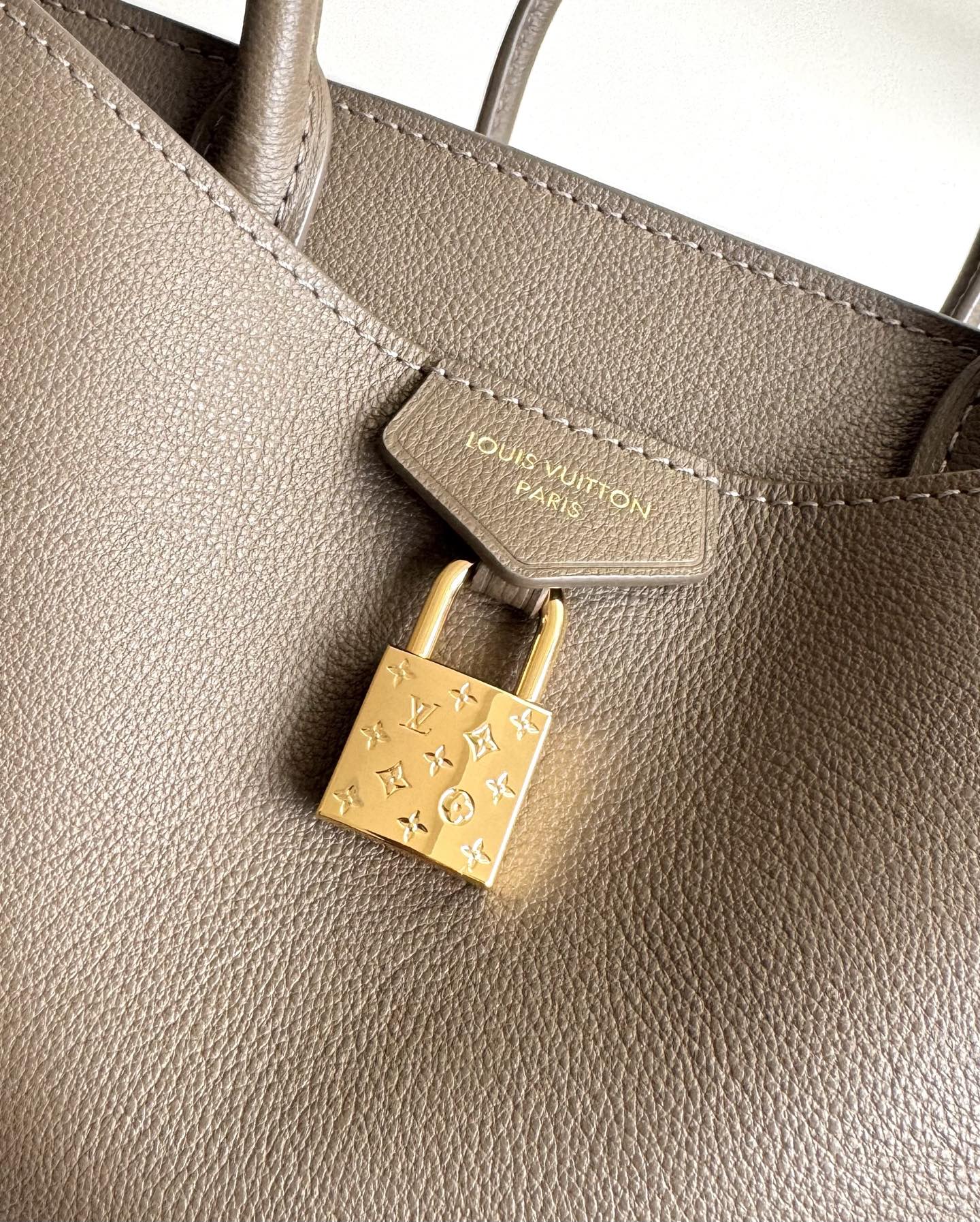 Louis Vuitton Basic Bag Cow Leather M