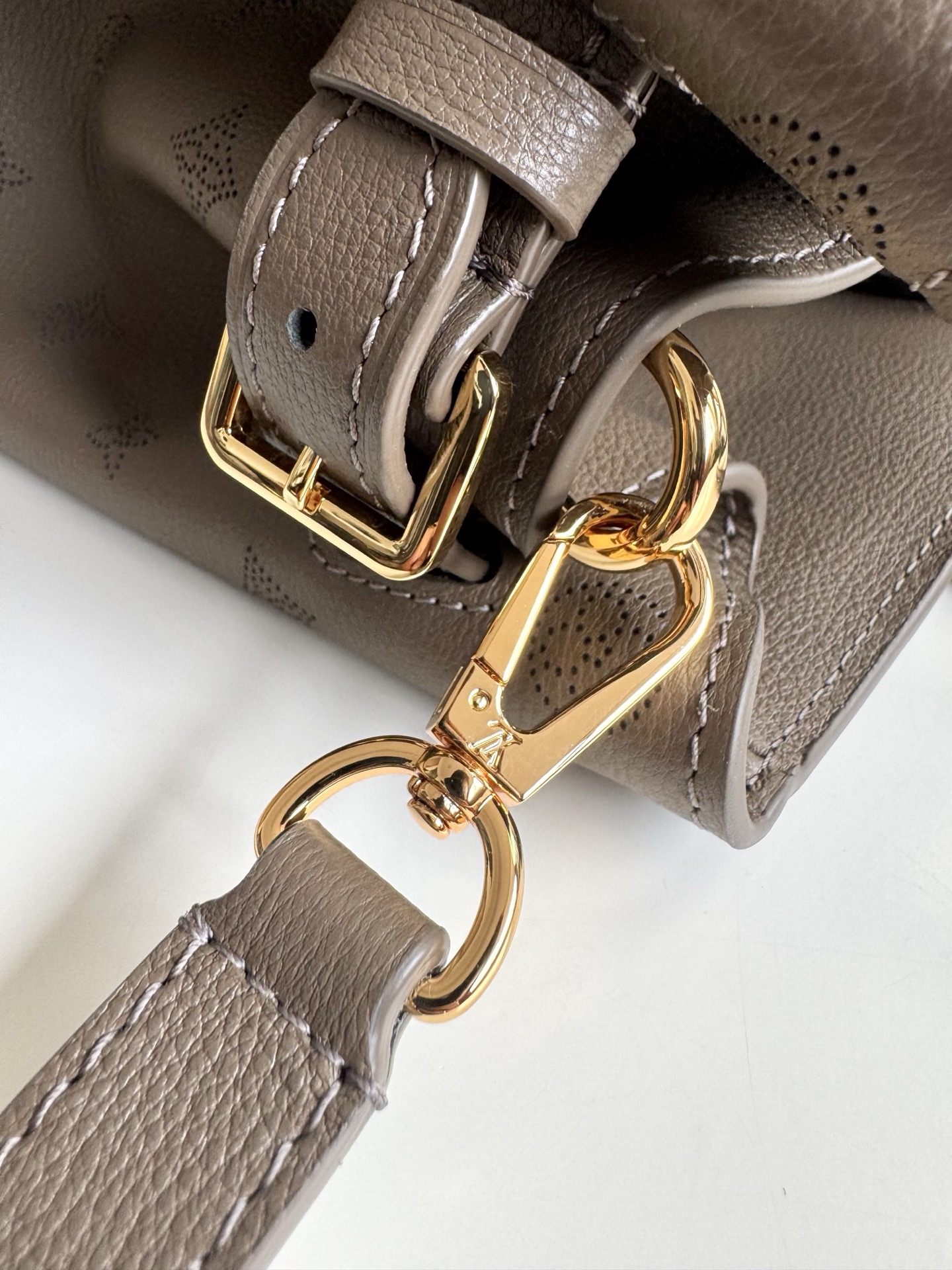 Louis Vuitton Basic Bag Cow Leather M