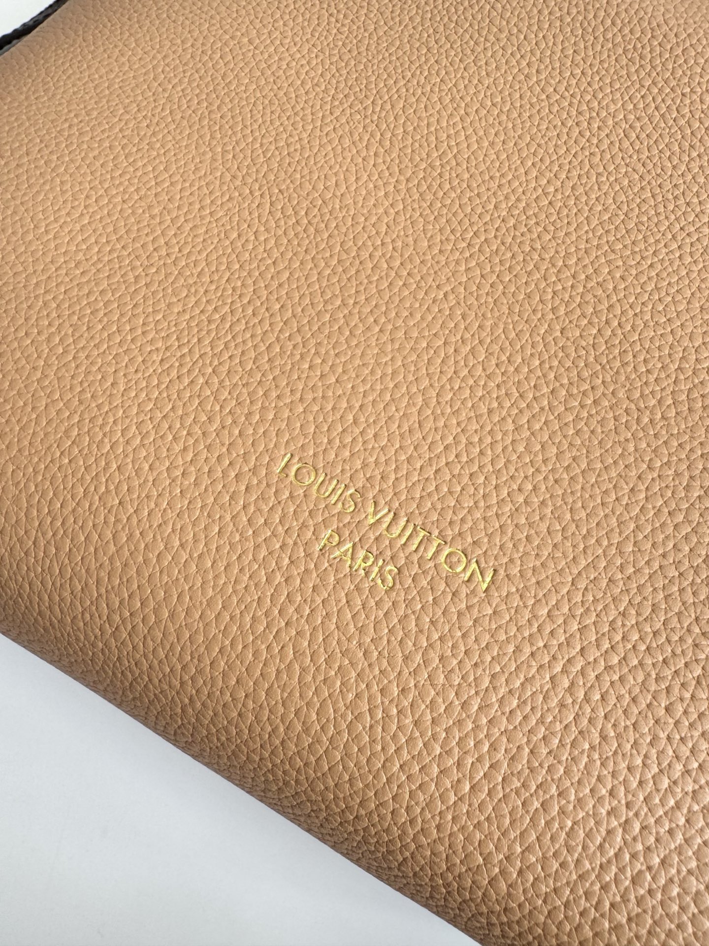 Louis Vuitton Basic Bag Canvas 10cm-m-l-s