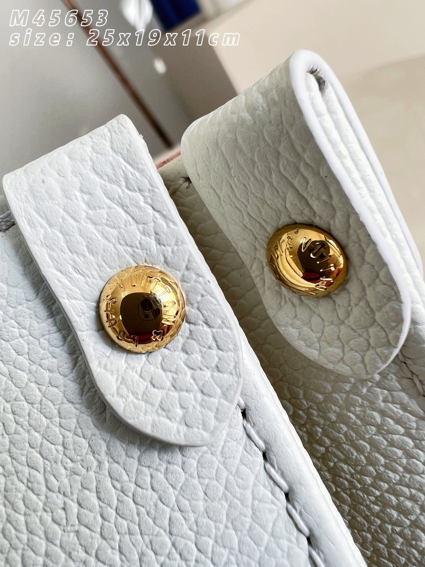 Louis Vuitton Basic Bag M