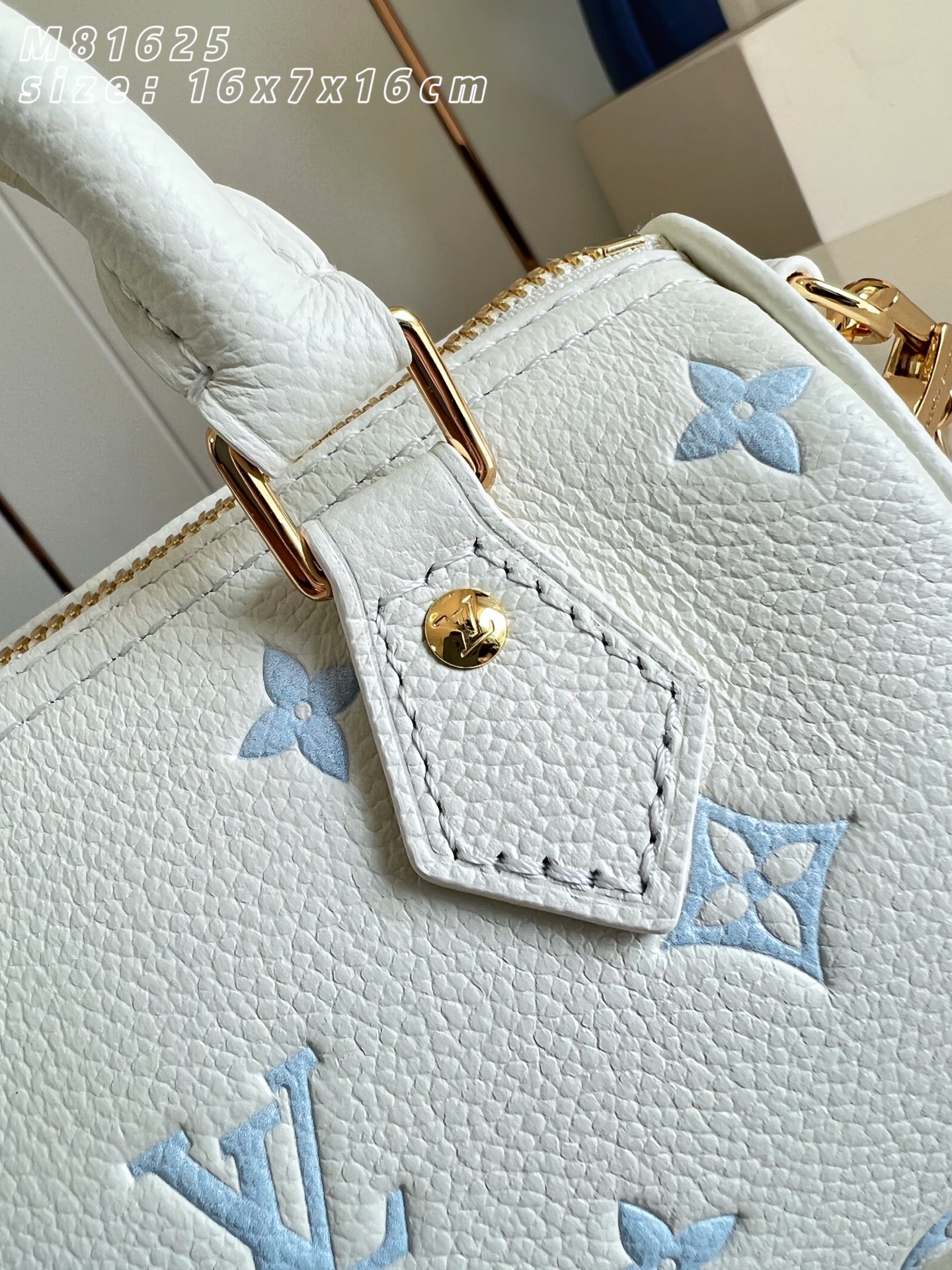 Louis Vuitton Basic Bag M-s