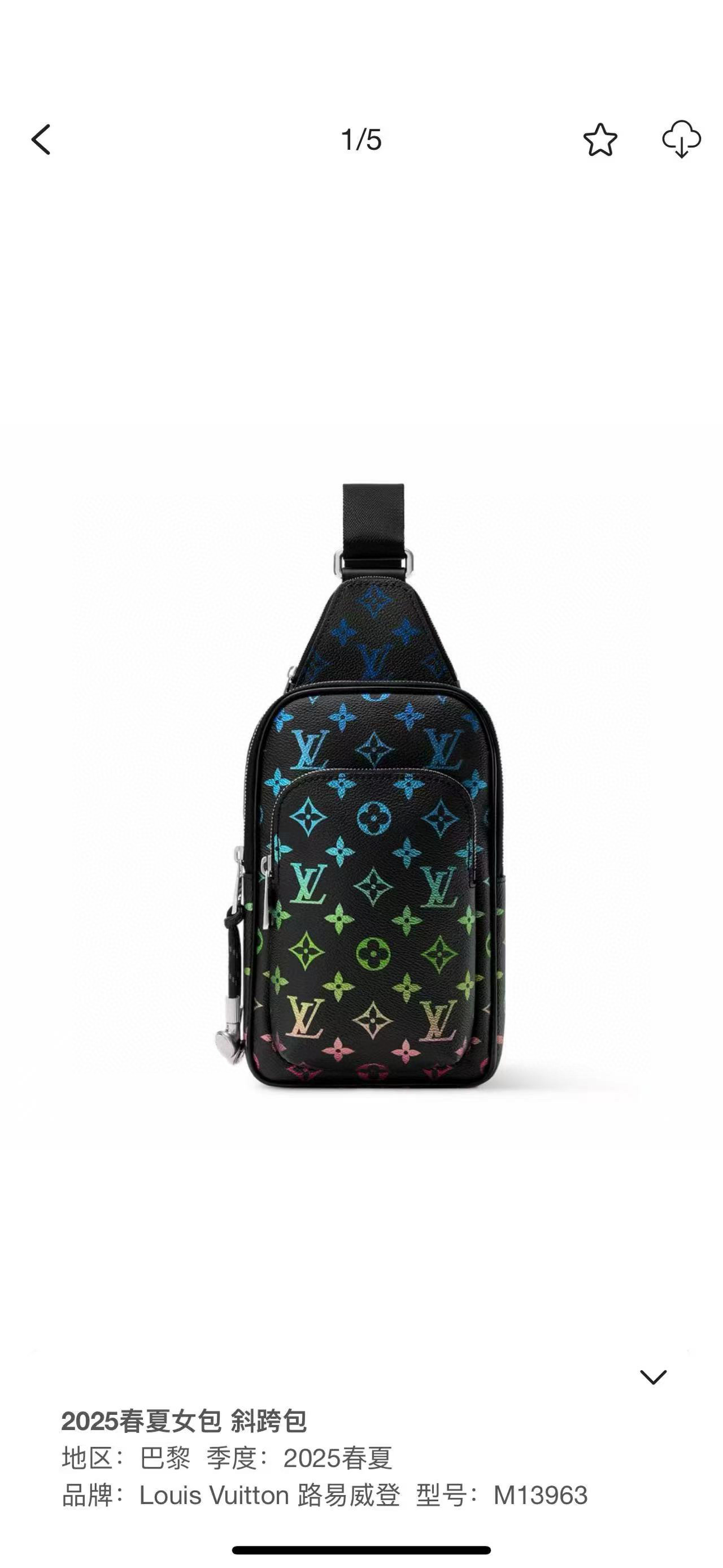 Louis Vuitton Shoulder Bag Canvas M-l-s