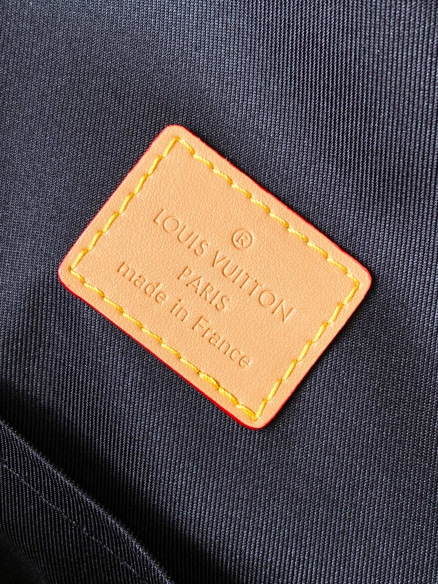 Louis Vuitton Backpack Canvas M-s