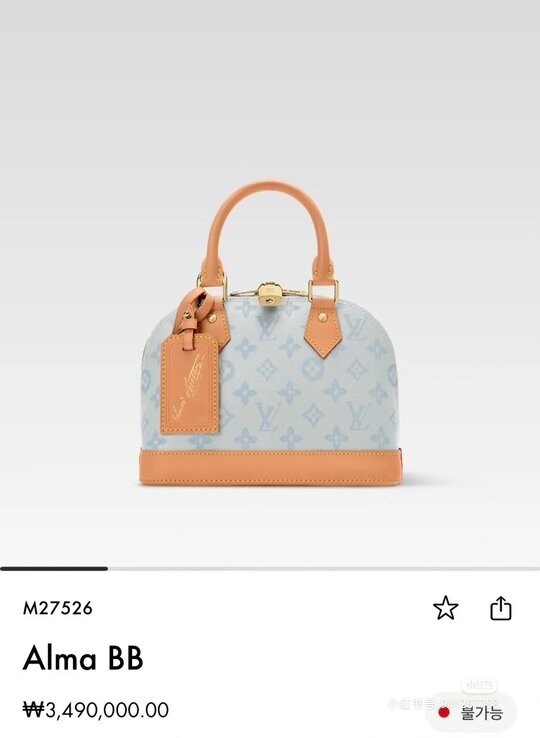 Louis Vuitton Basic Bag M-l