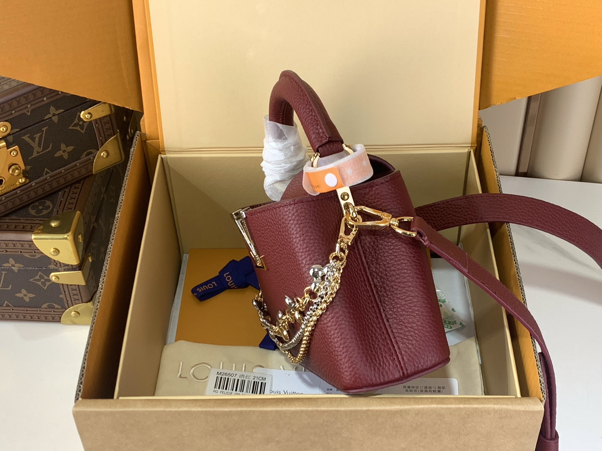 Louis Vuitton Basic Bag M-l-s