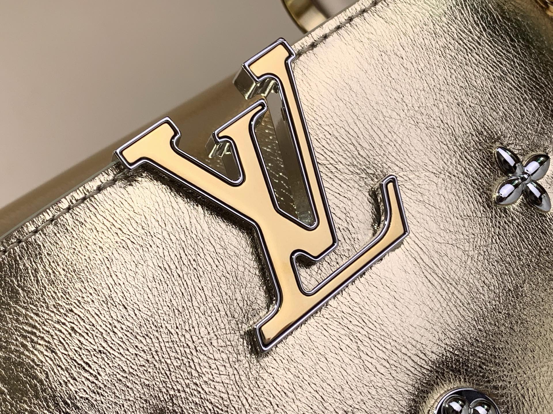 Louis Vuitton Basic Bag Gold M-l-s