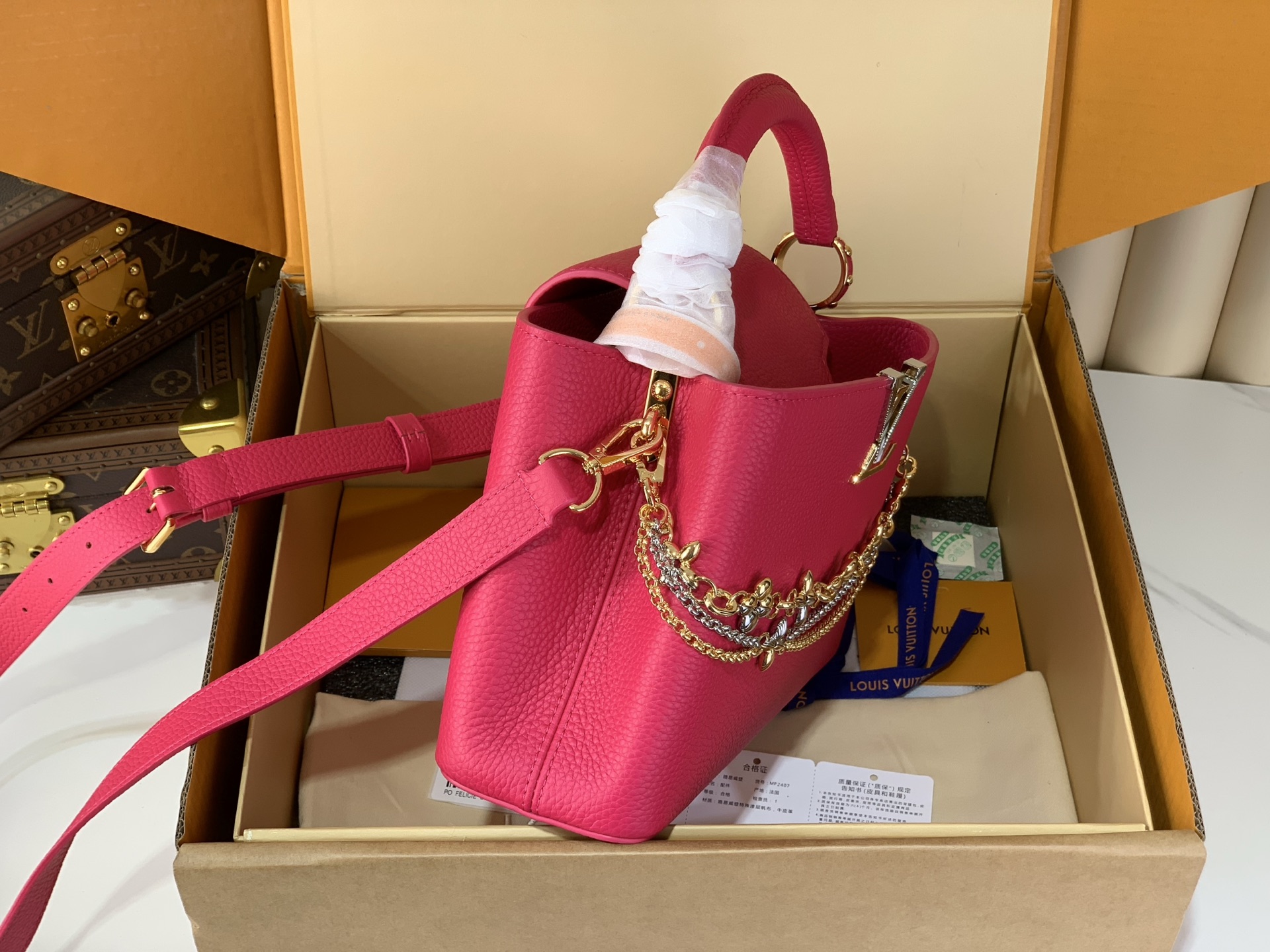 Louis Vuitton Basic Bag M-l-s